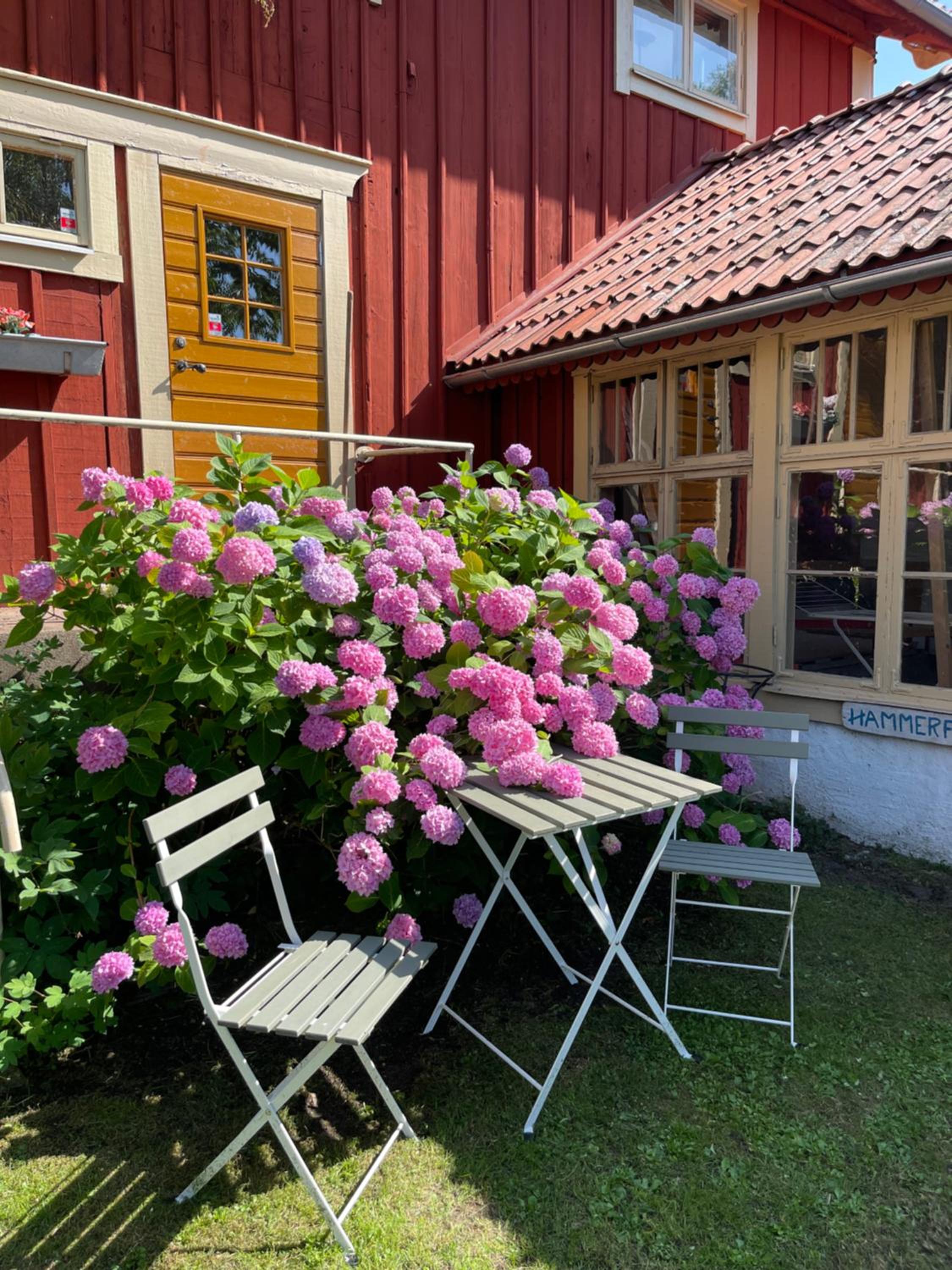 Double Room with Patio