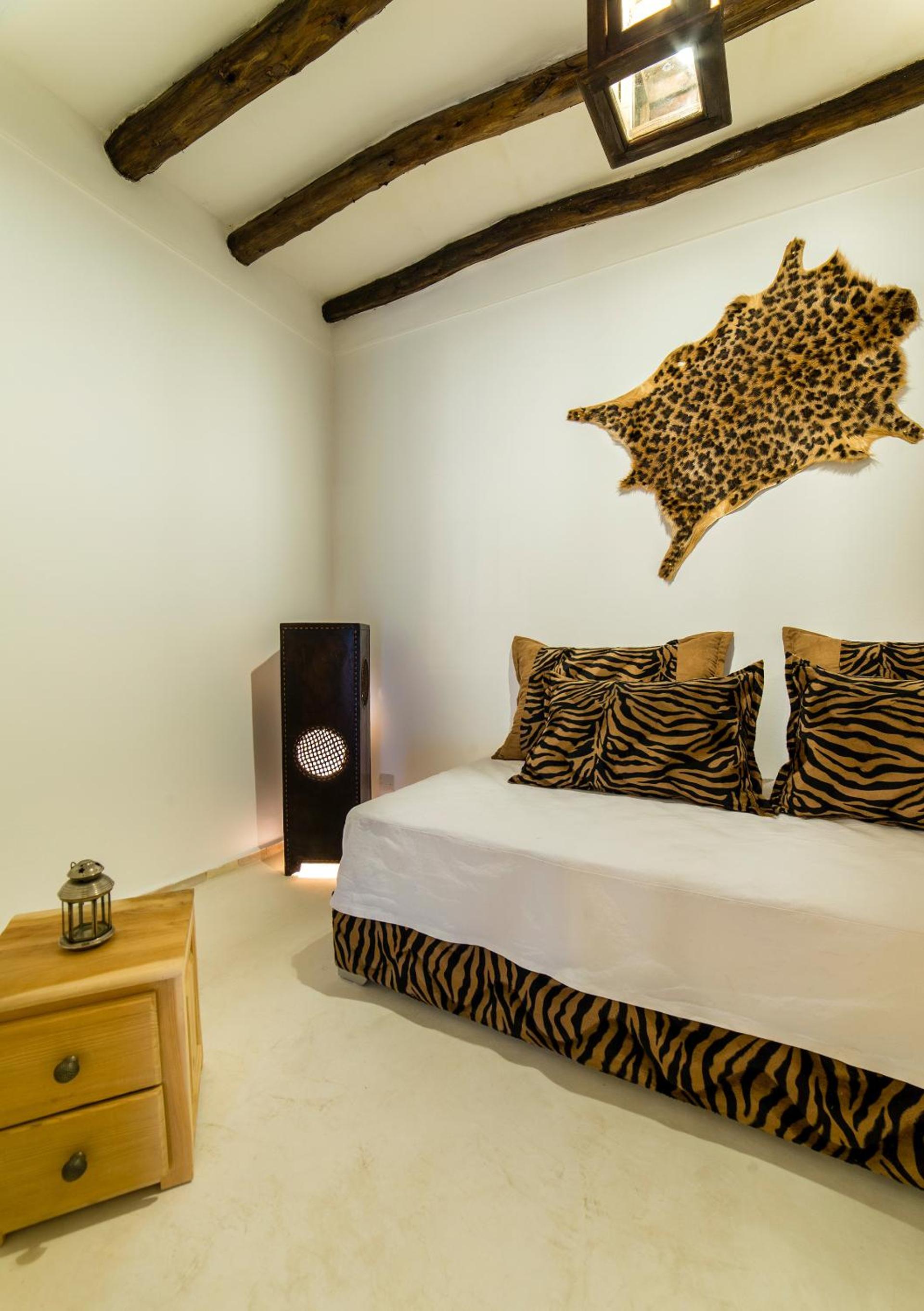 Suite - Photo 1