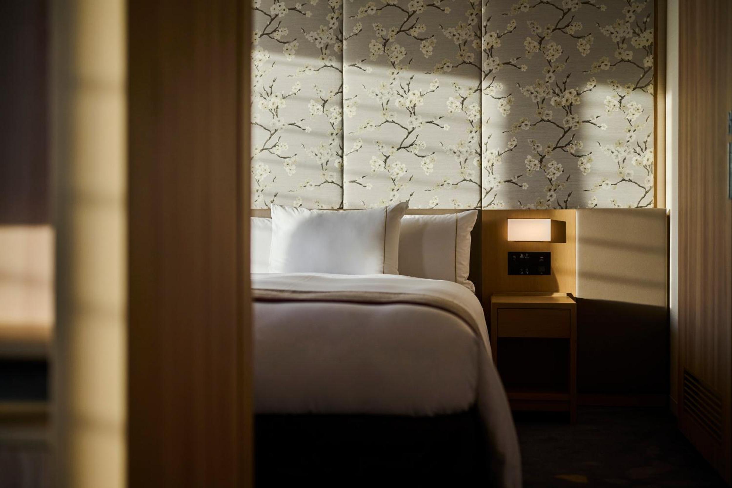 Suite - Photo 1