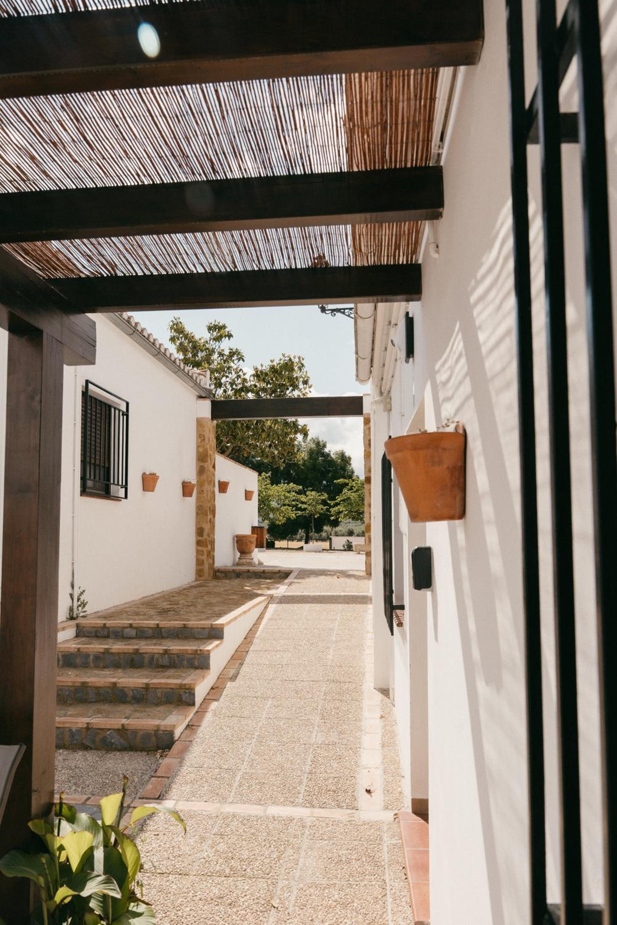 Maisonette