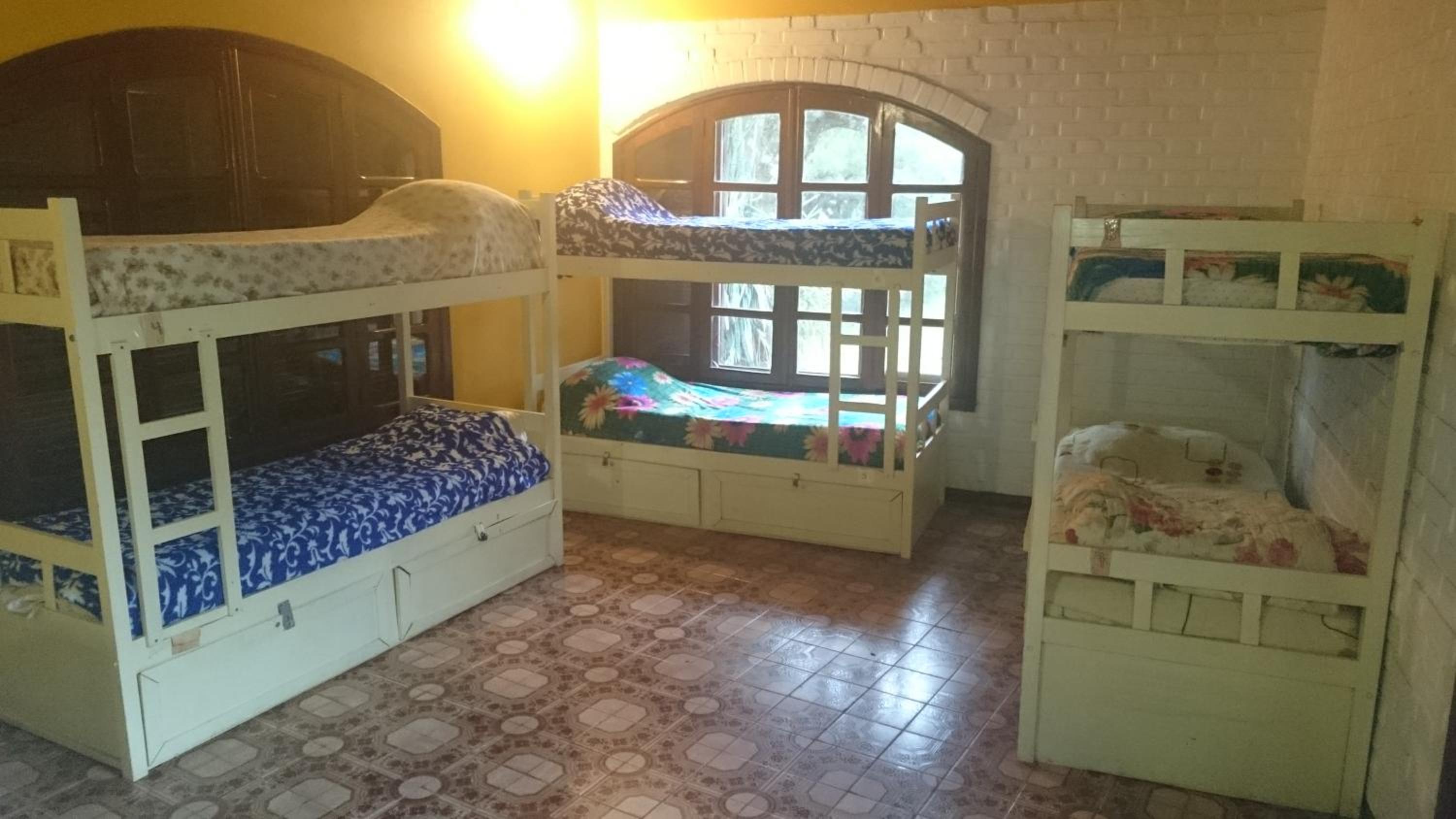 Single Bed in Mixed Dormitory Room photo 2
