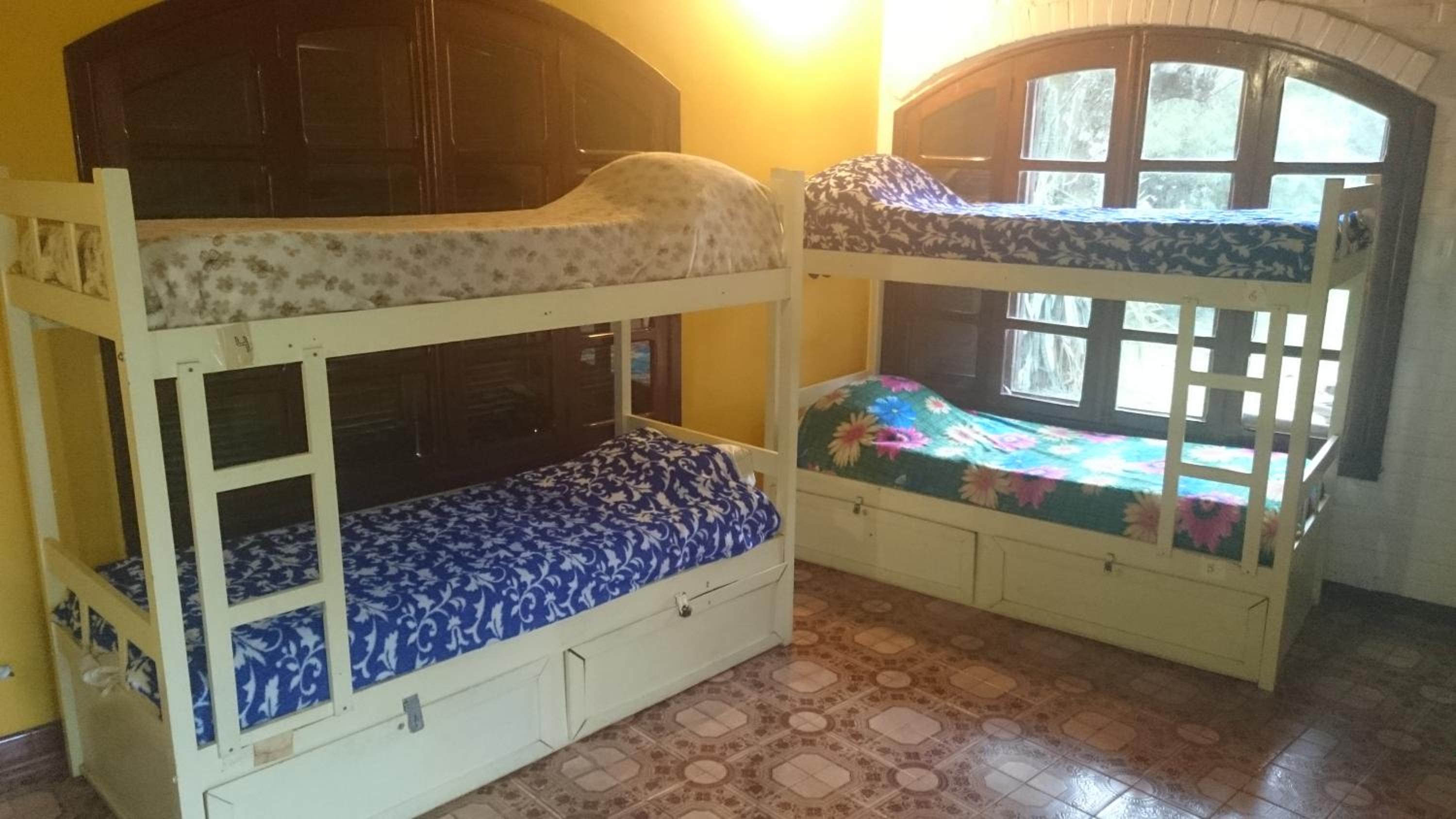 Single Bed in Mixed Dormitory Room photo 3