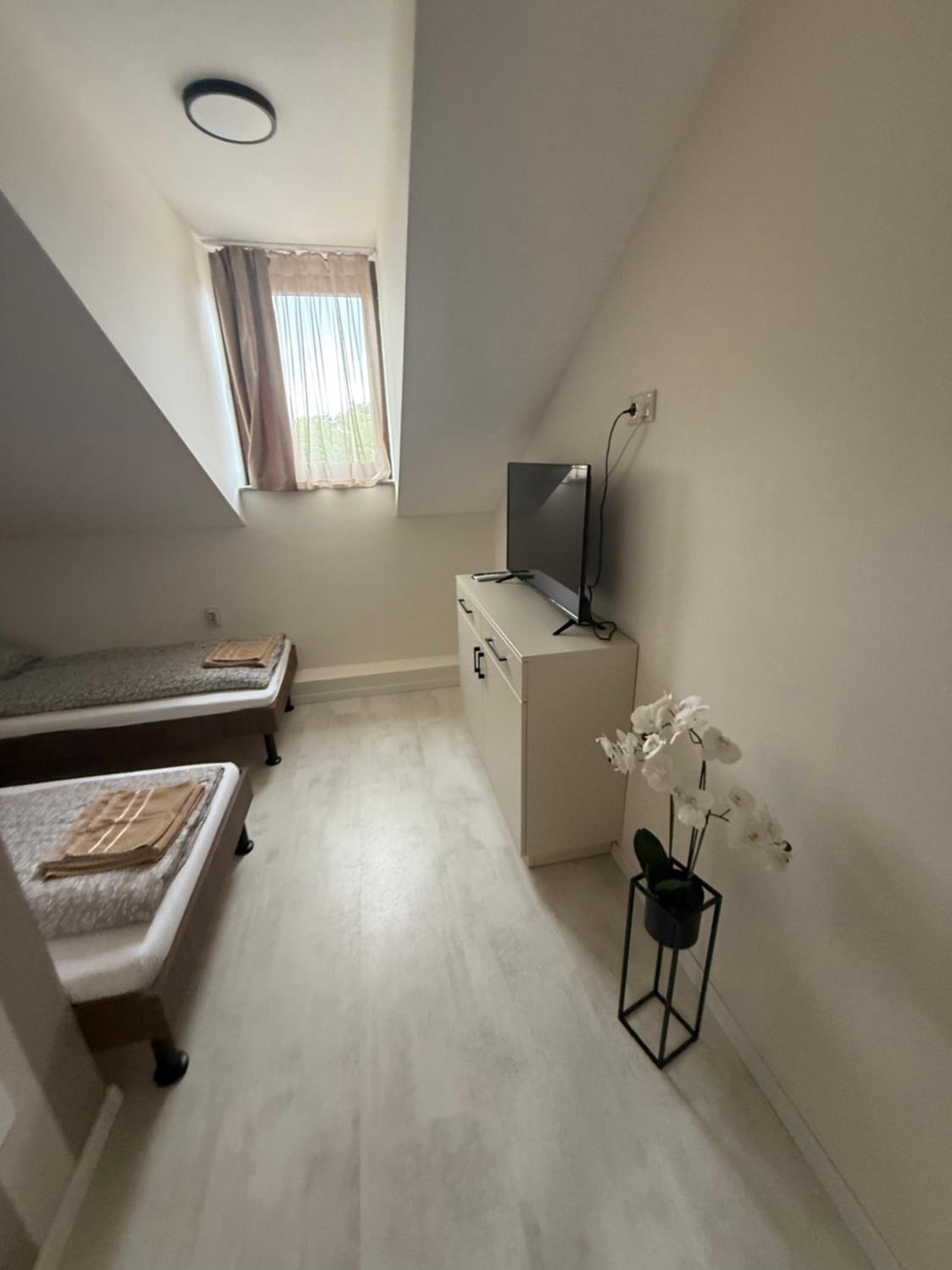 Twin Room photo 2