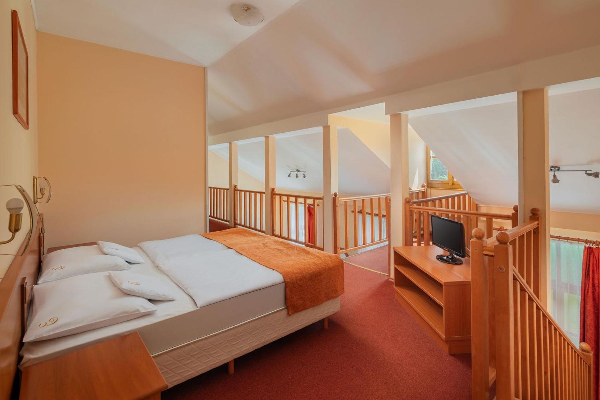Standard extra-large apartment photo 3