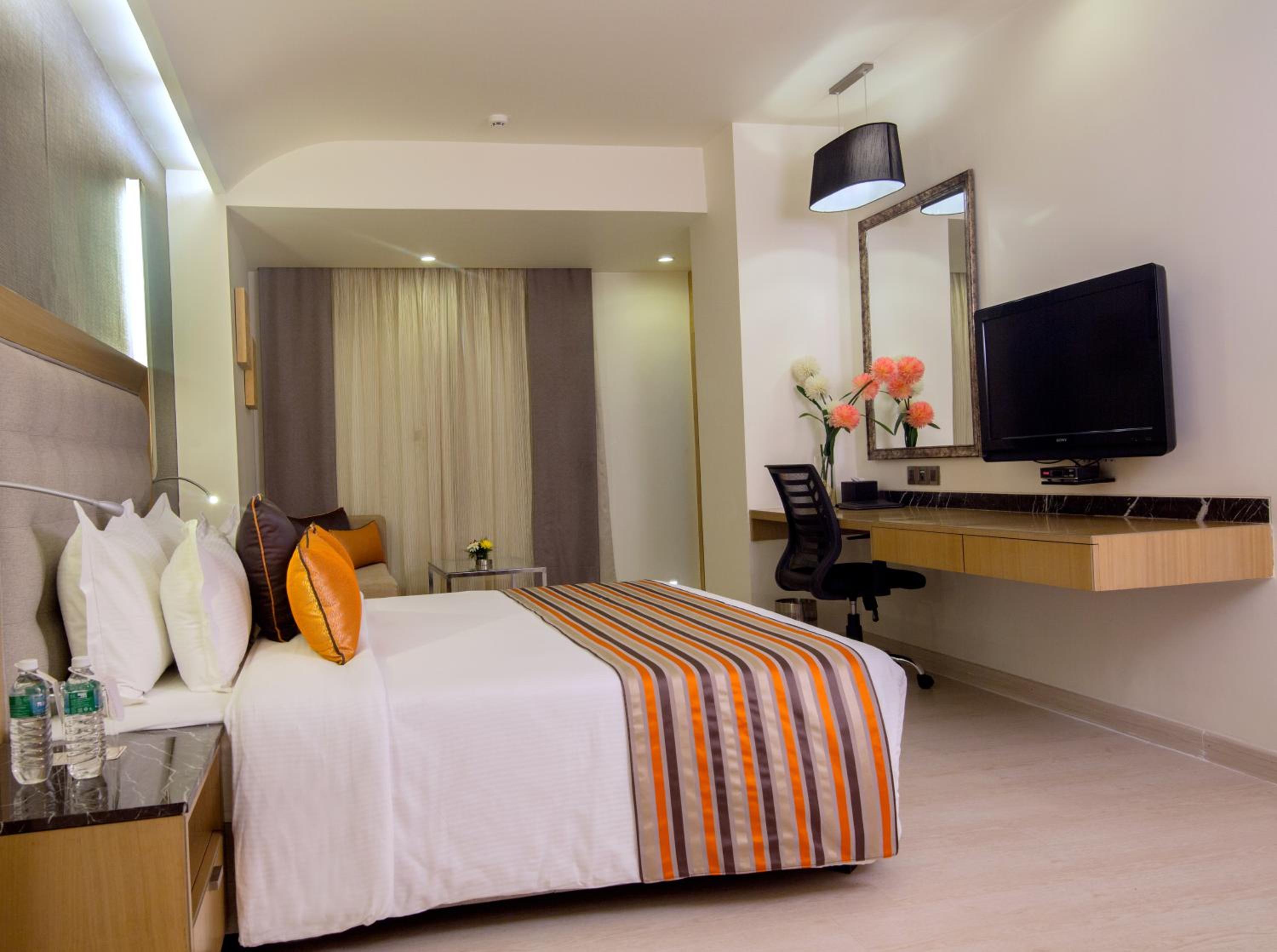 Suite - Photo 1