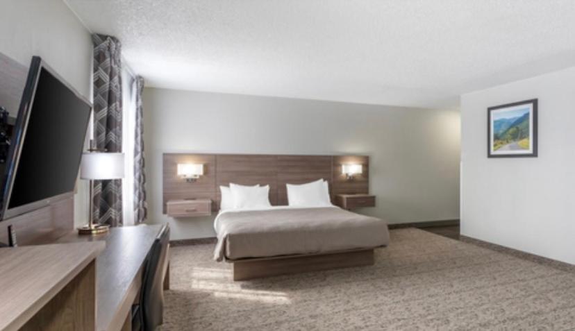 King Suite - Photo 1
