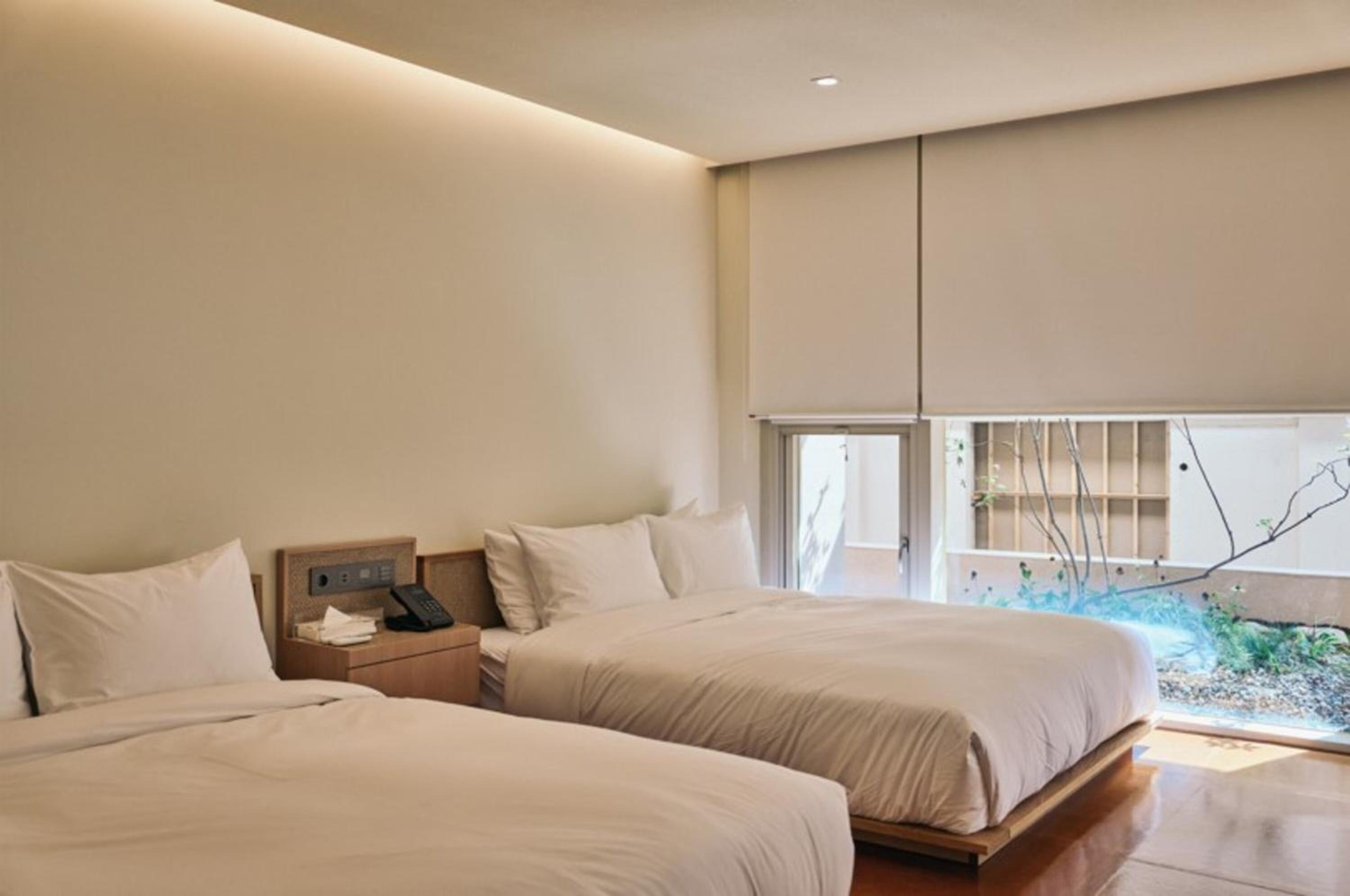 Suite A - Photo 4
