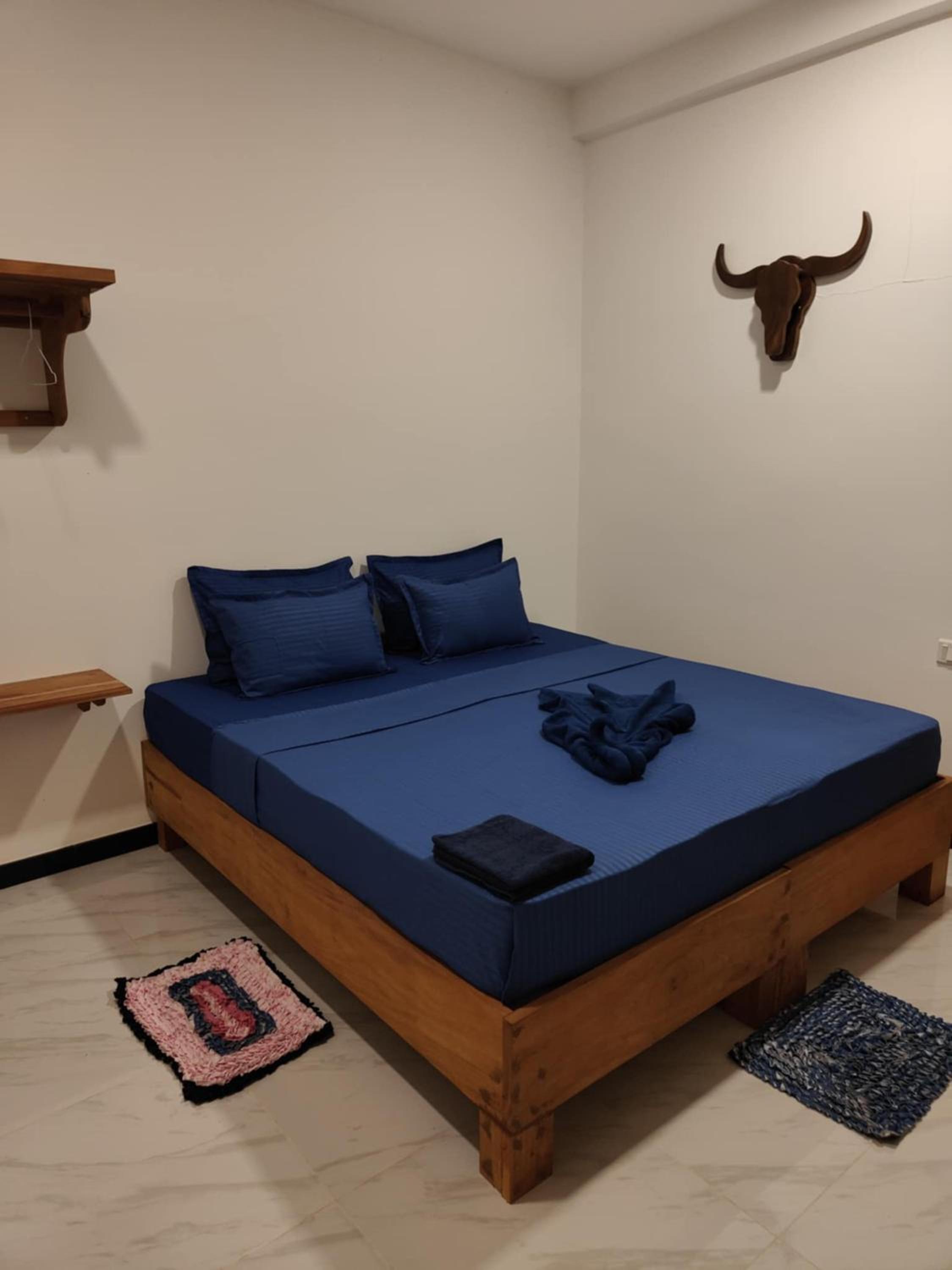 Standard Double Room with Fan photo 2
