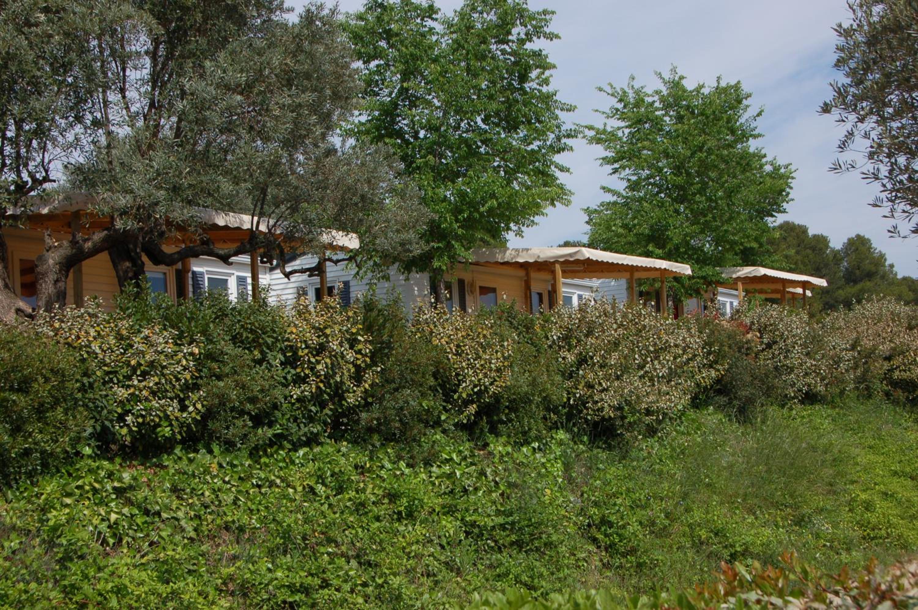 Mobile Home photo 3