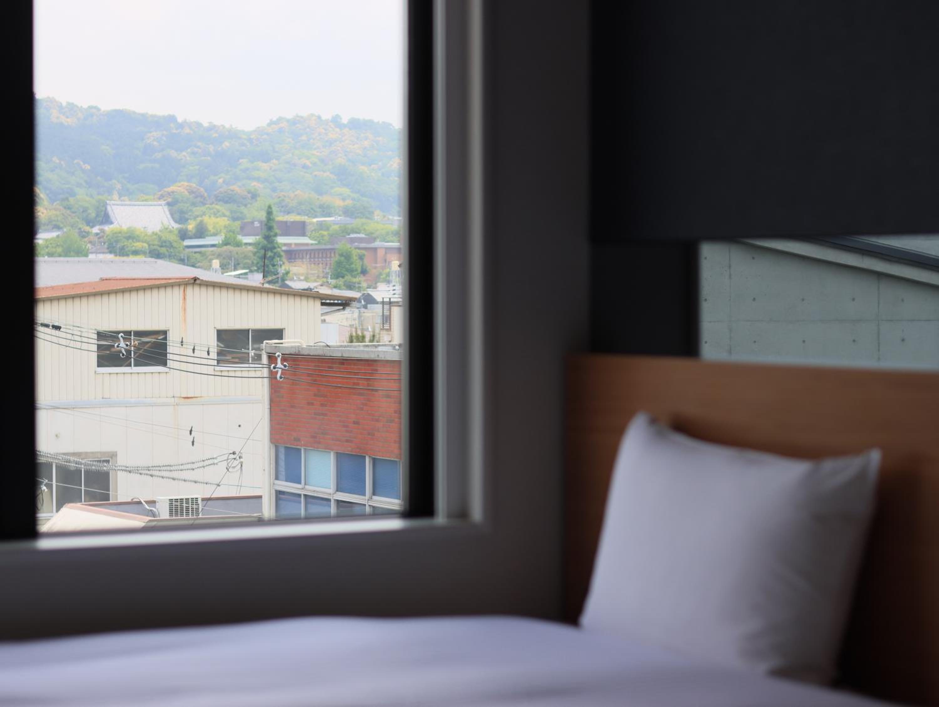 Deluxe Twin Room photo 1