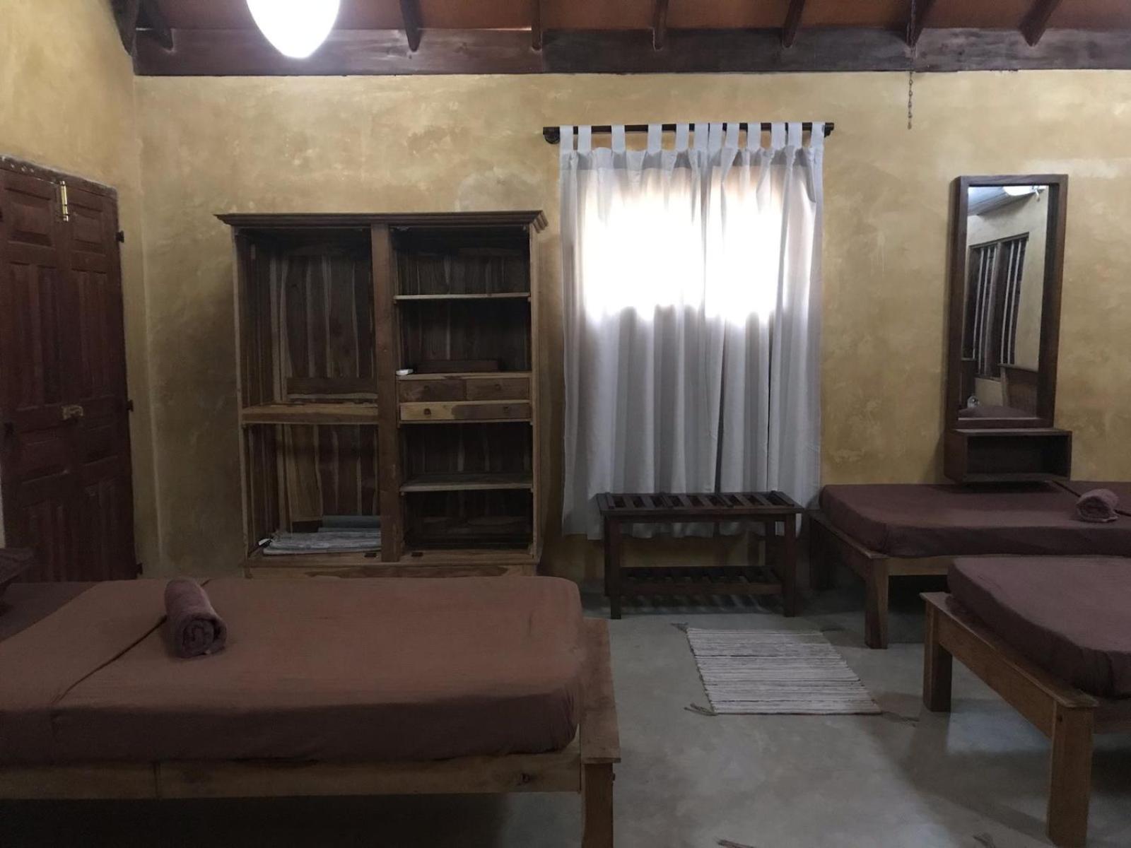 Single Bed in 6-Bed Dormitory Room photo 3