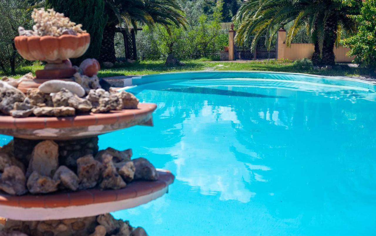 Apartment with Pool View  photo 2