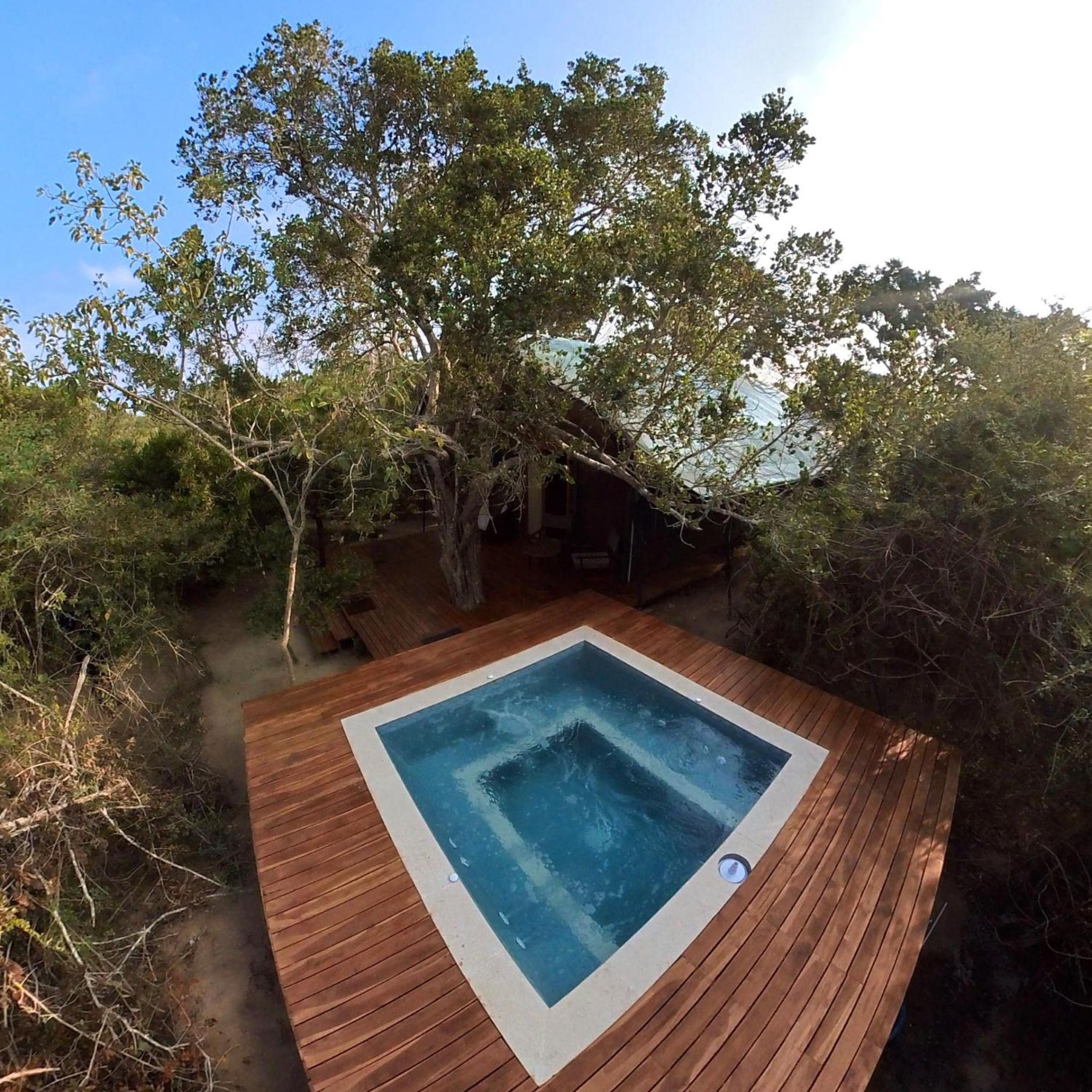 Luxury Owl Tent with Private Pool (10% off on Wildlife Safaris)