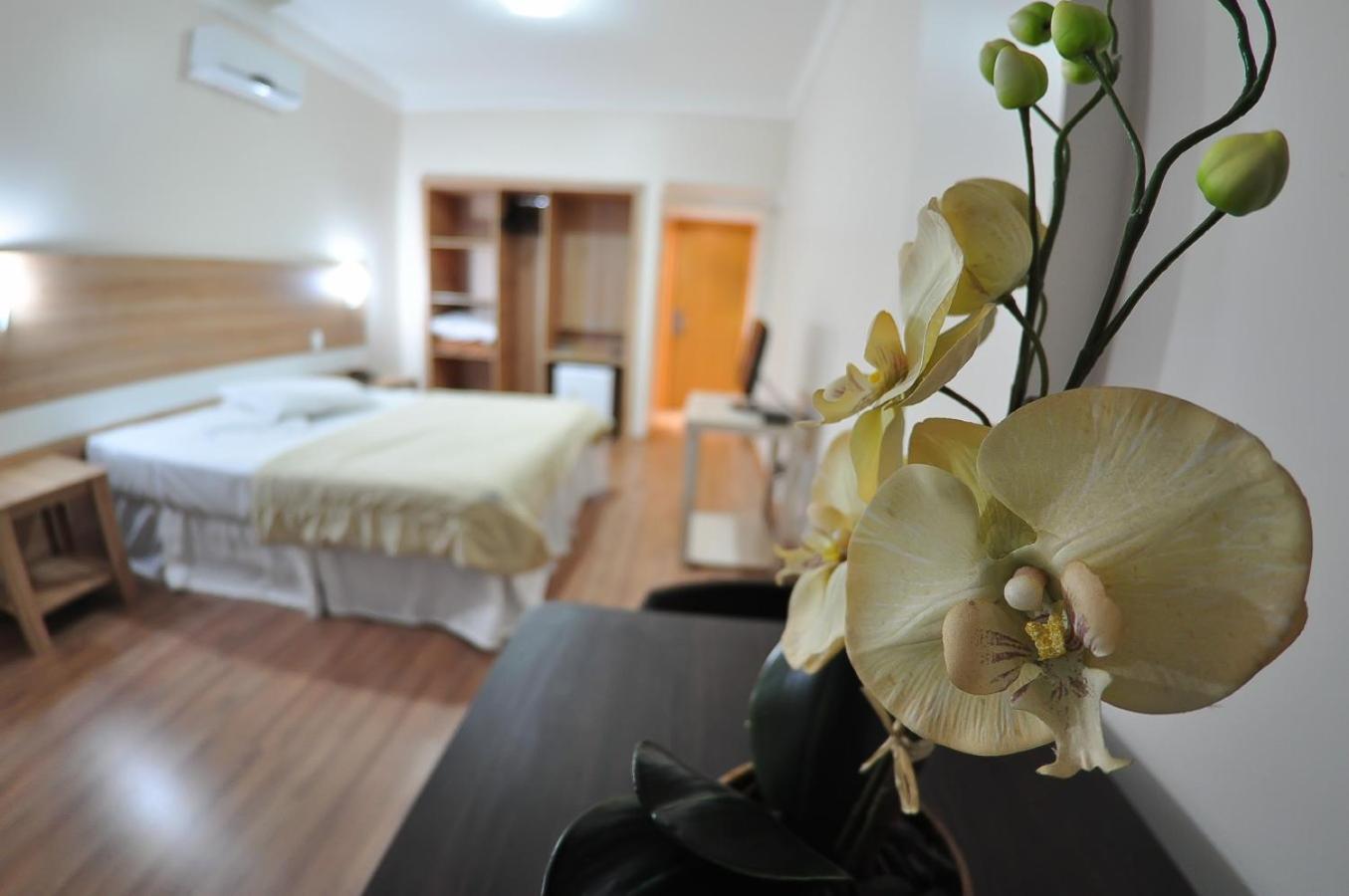 Superior Double Room photo 1