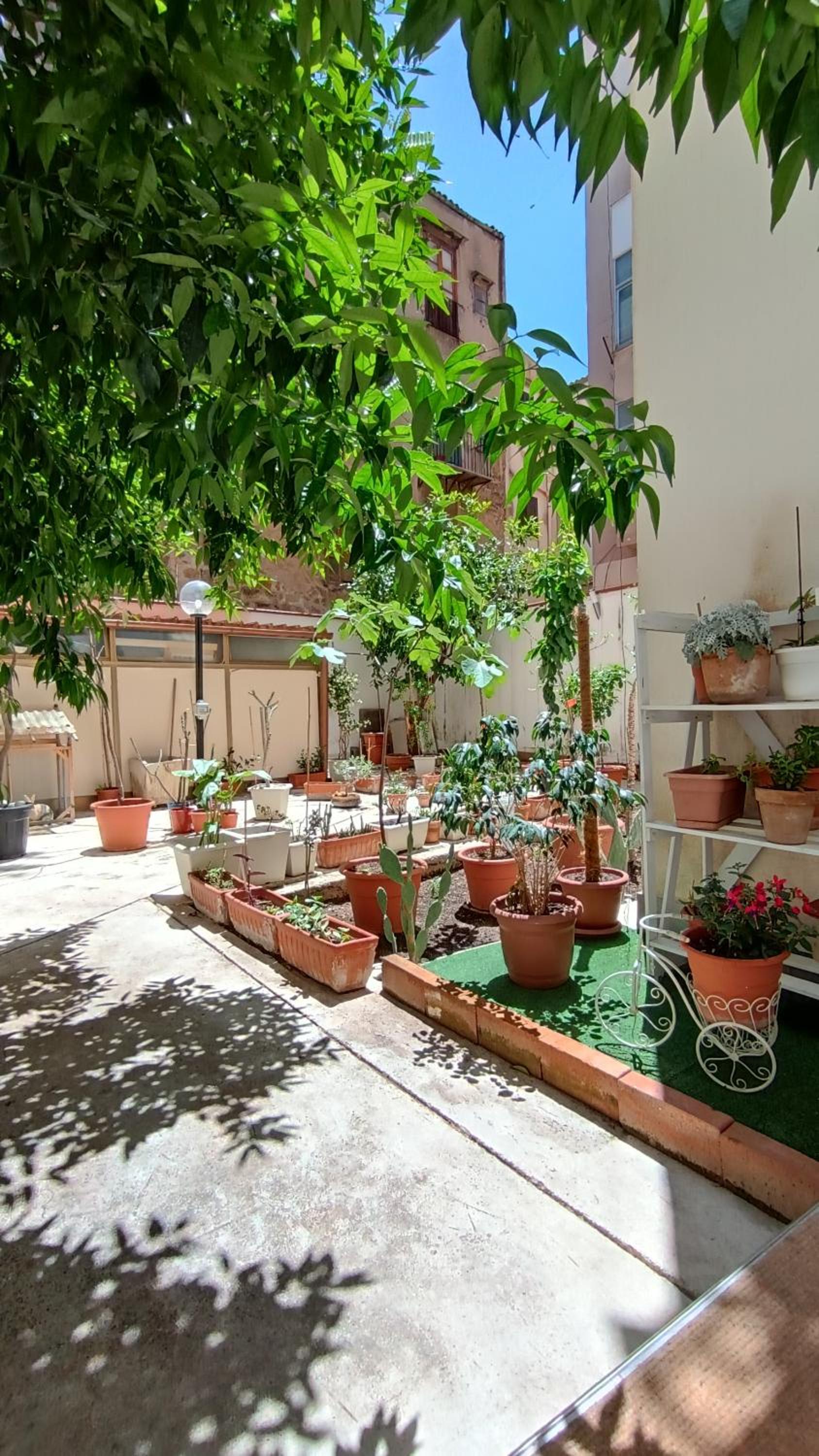 Apartment - Ground Floor