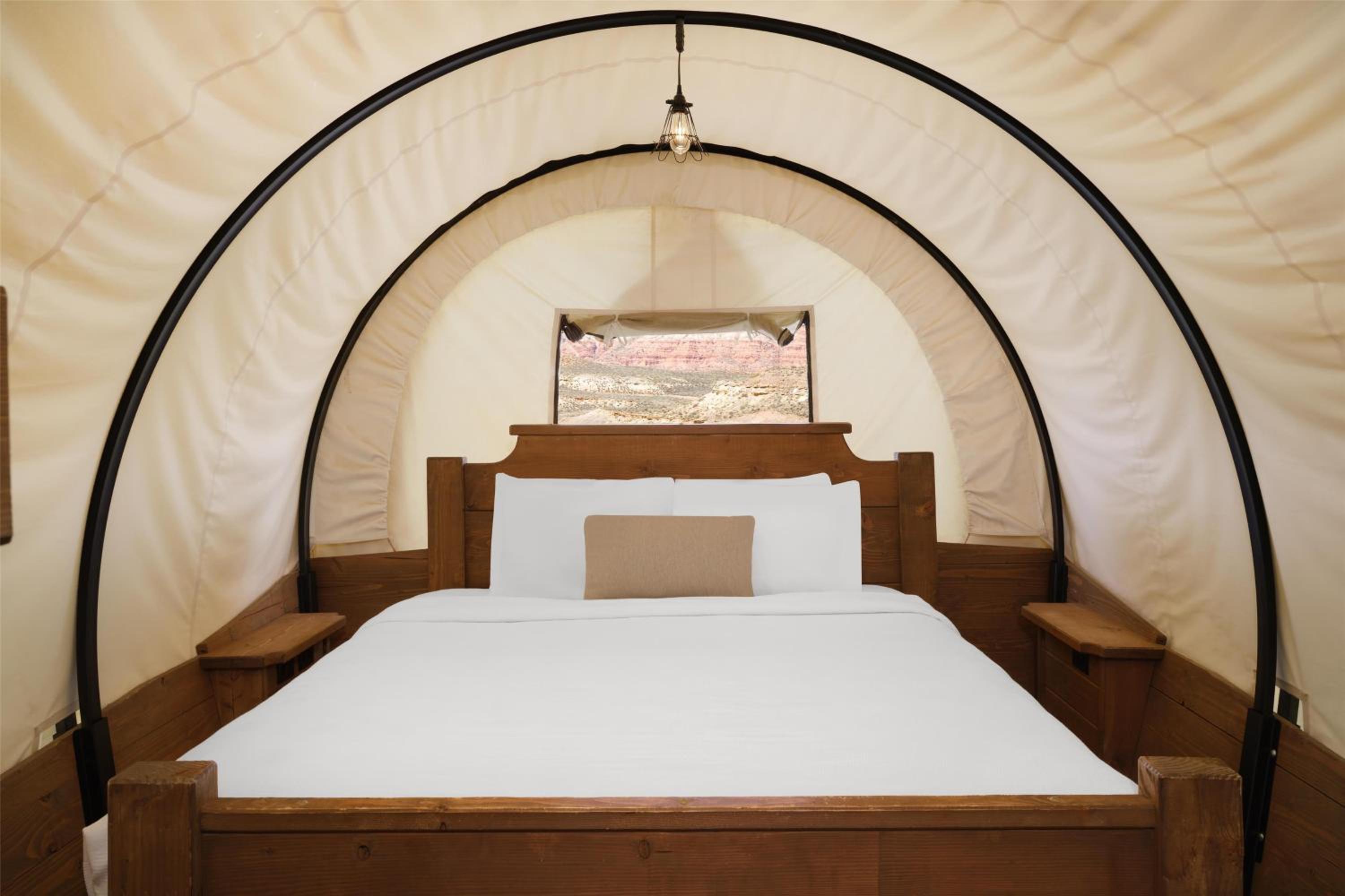 Showy Covered Wagon - Photo 5