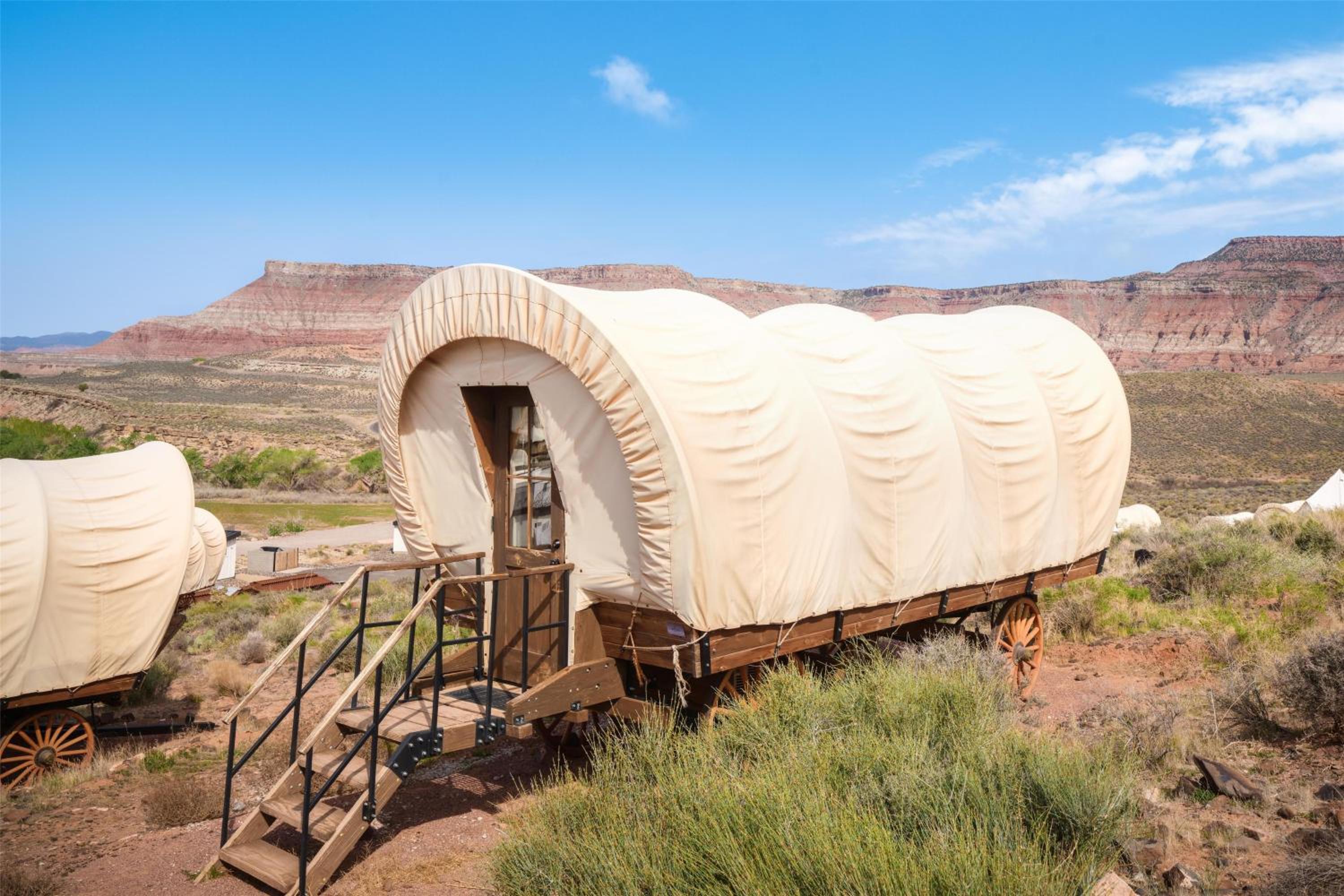 Showy Covered Wagon - Photo 6