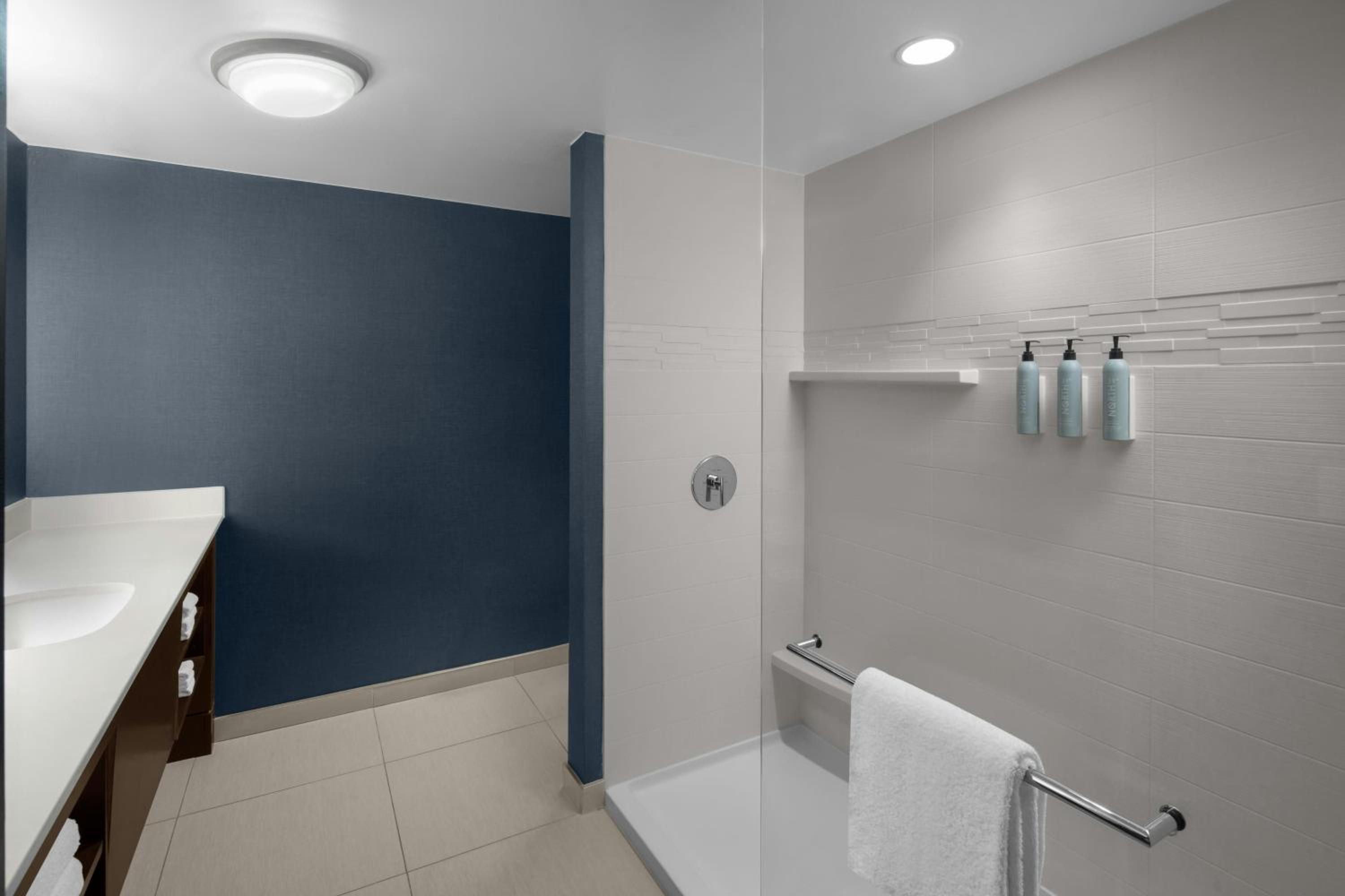 One-Bedroom Queen Suite with Sofa Bed - Hearing Accessible