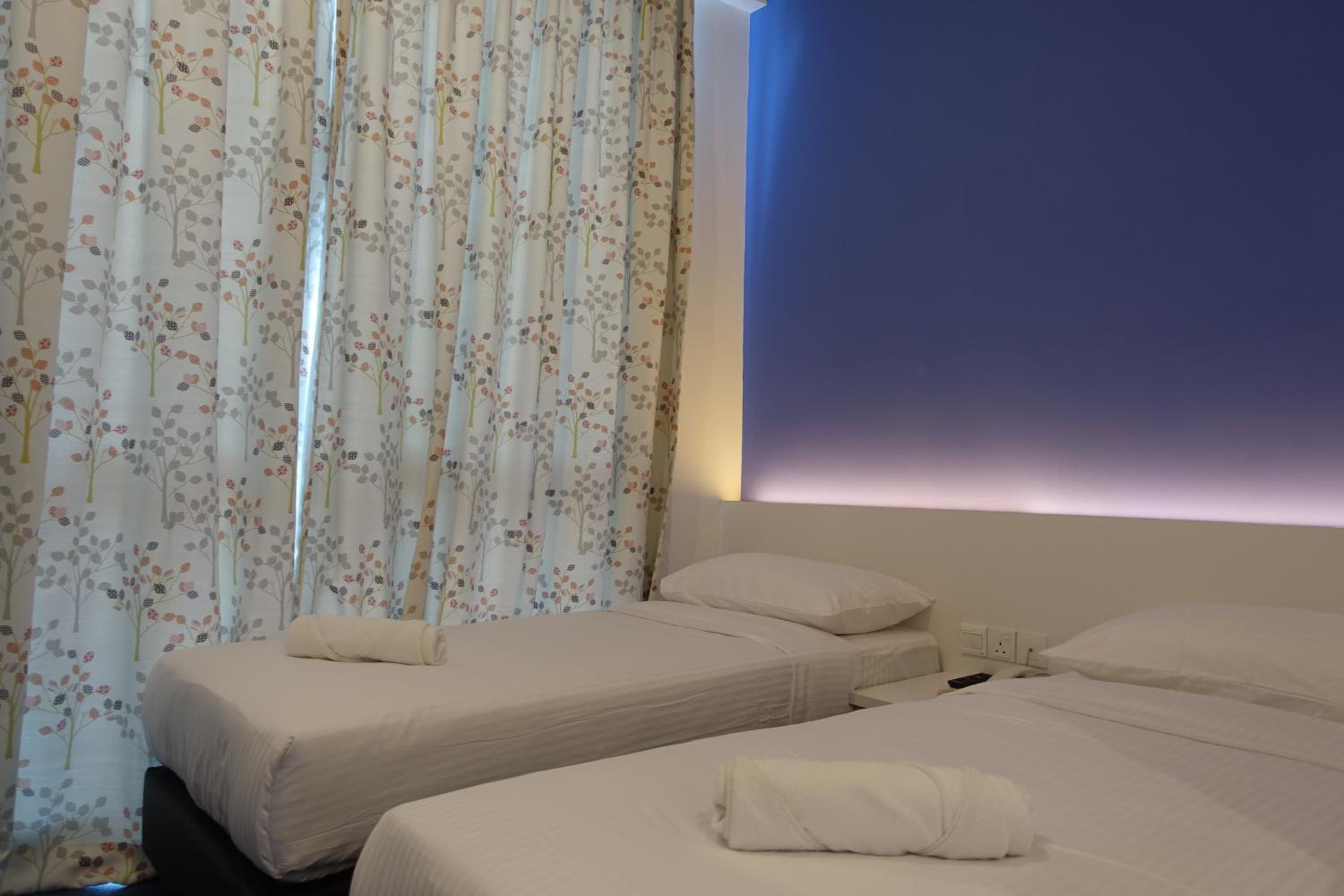 Deluxe Twin Room photo 2