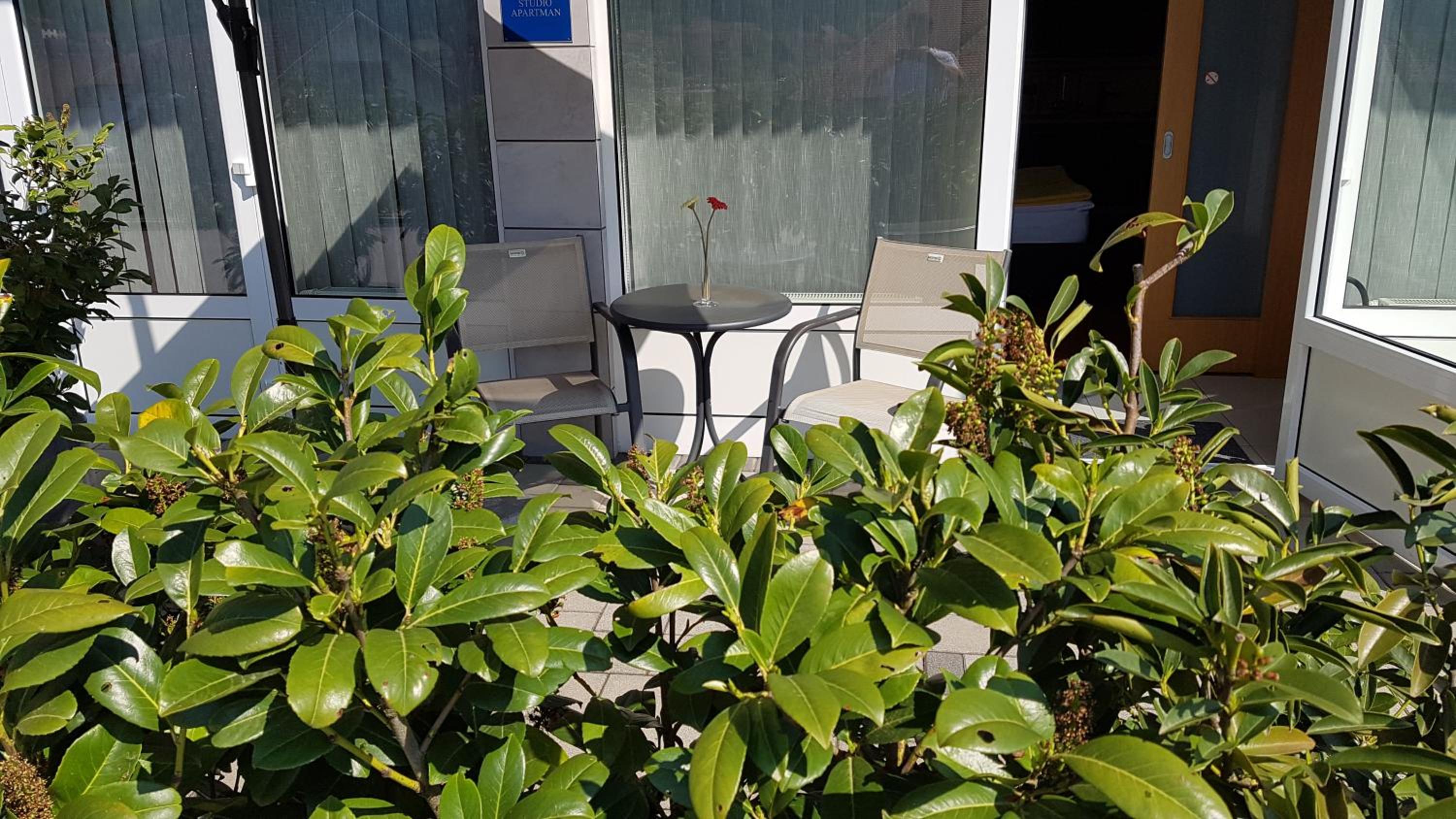 Studio with Terrace - Photo 24