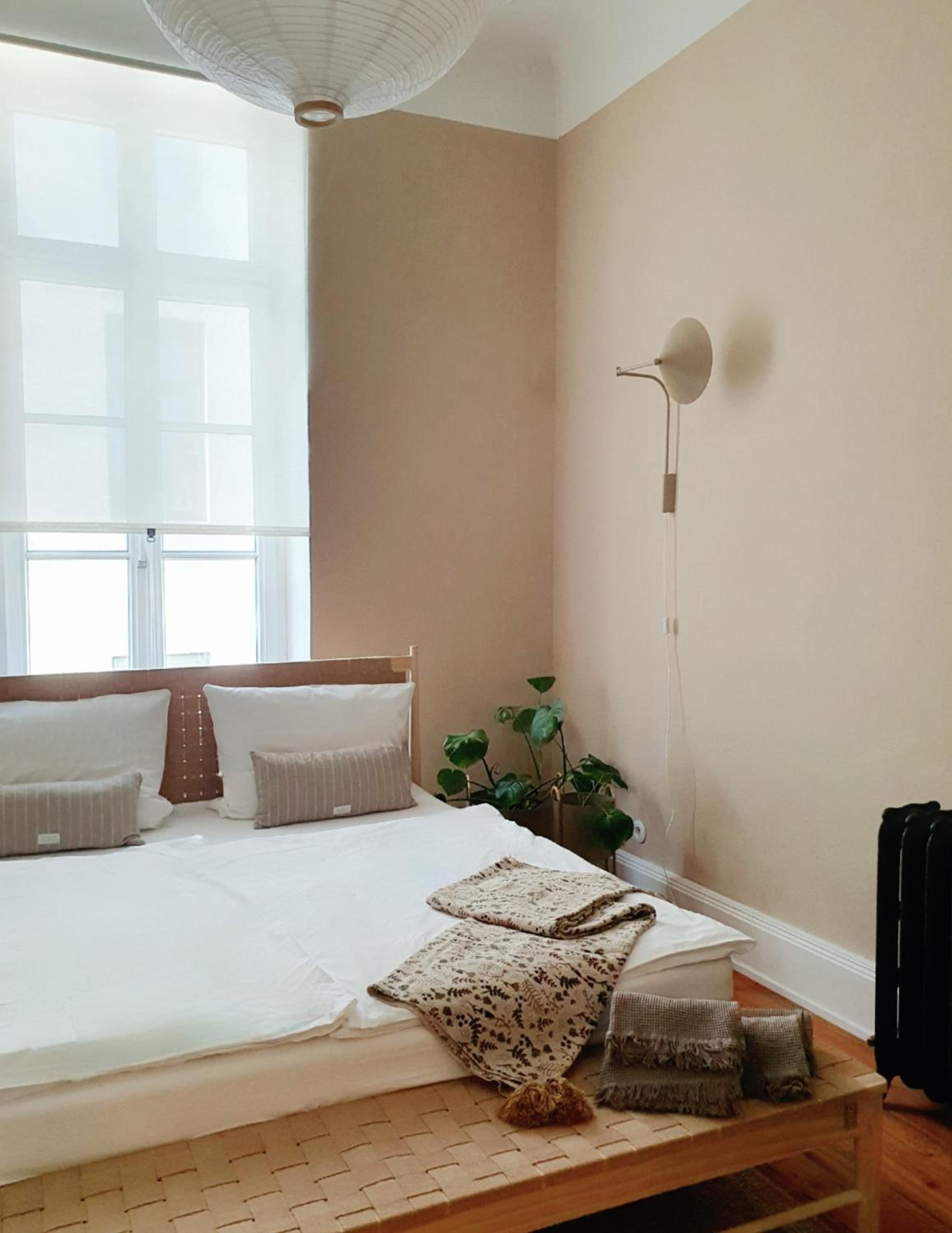 One-Bedroom Apartment photo 3