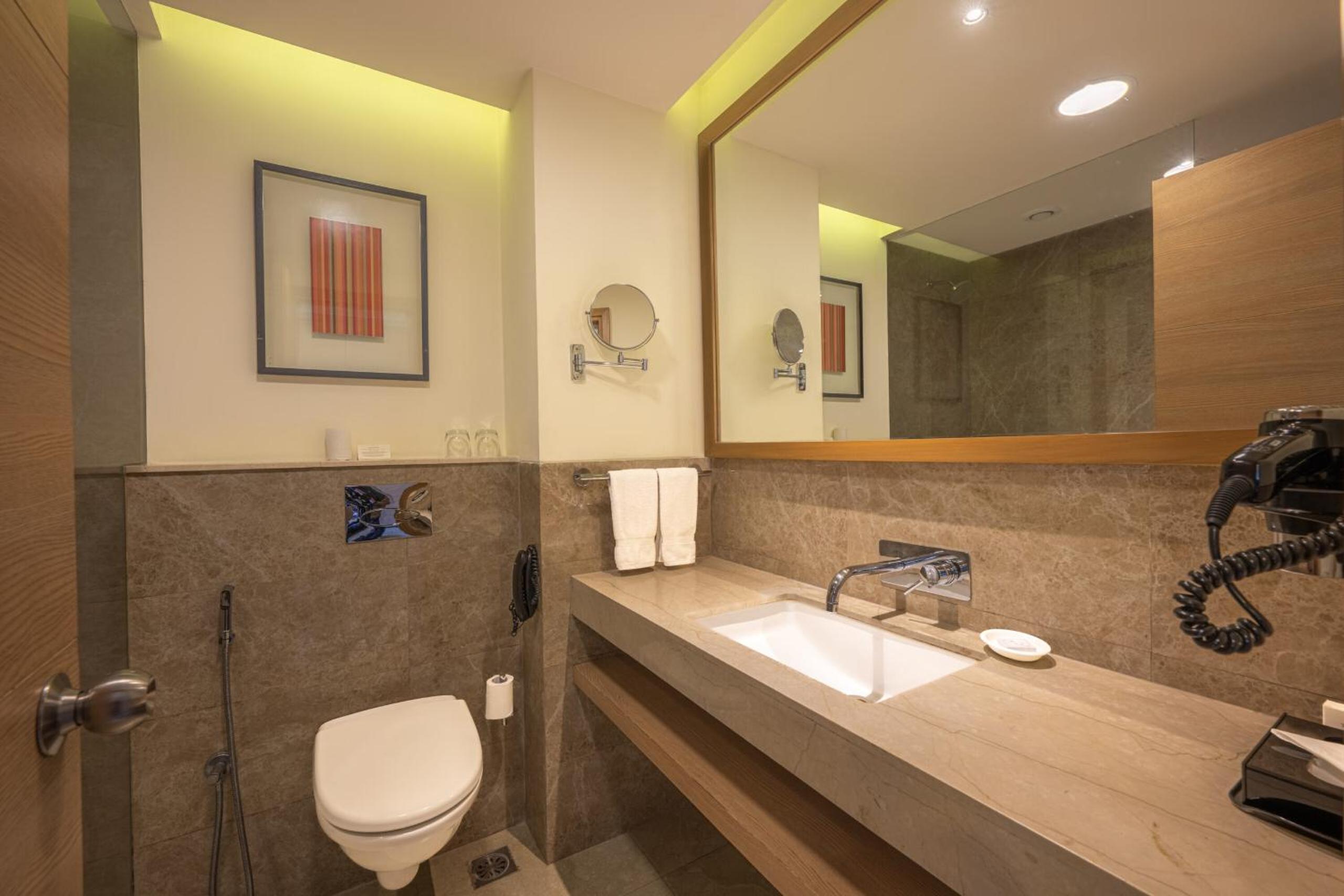 Double Room with Mountain View photo 1