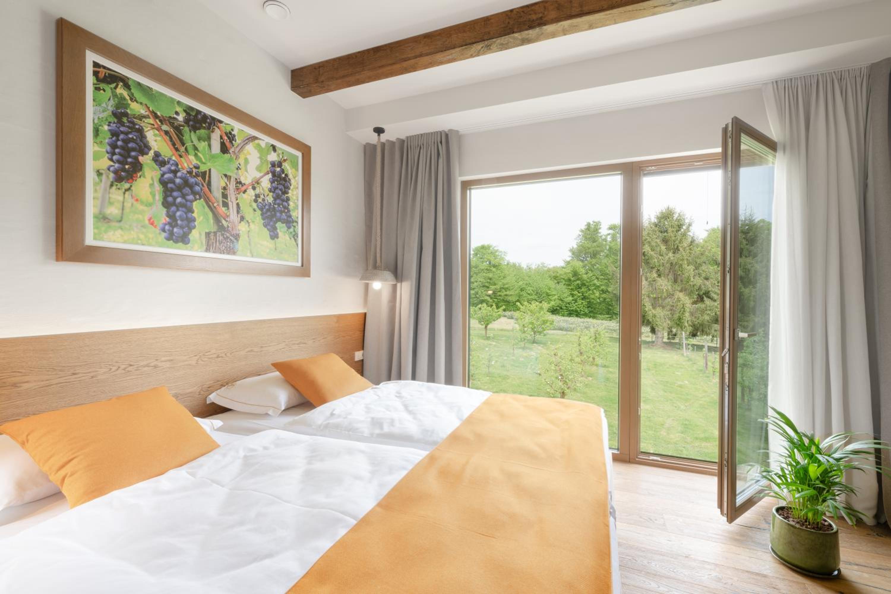 Junior Suite photo 3