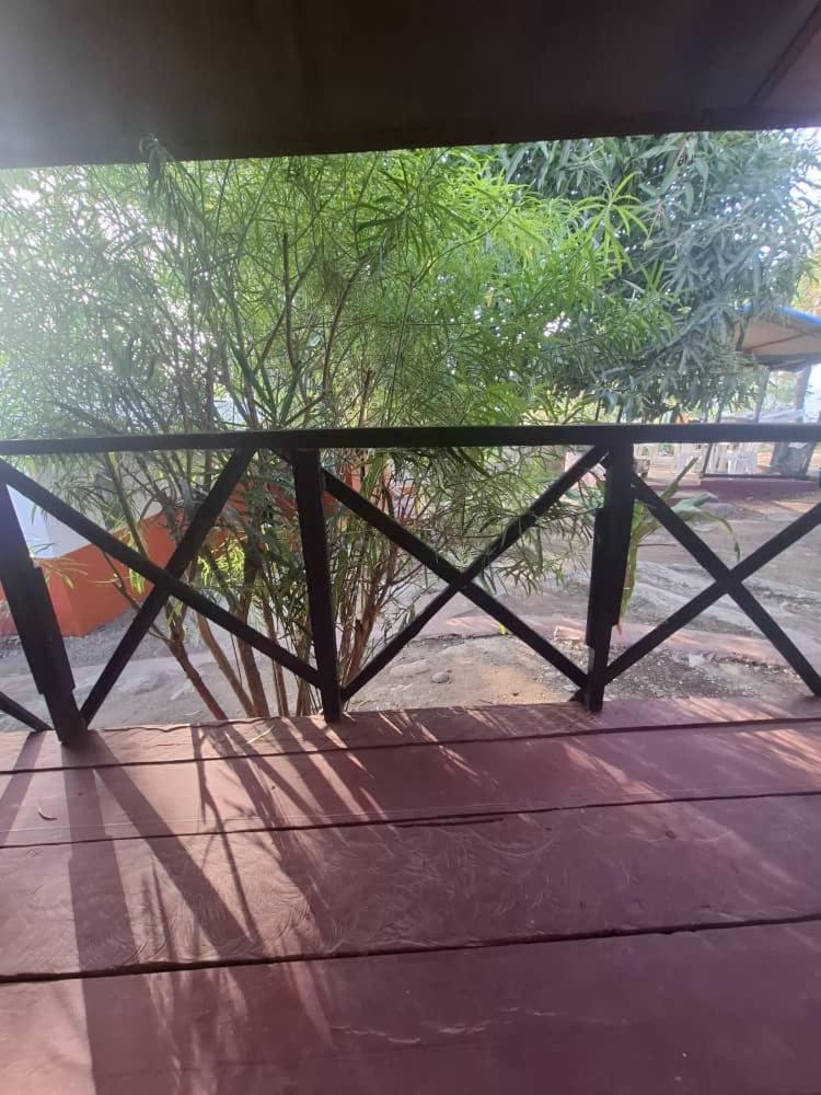 Double Room with Garden View photo 3