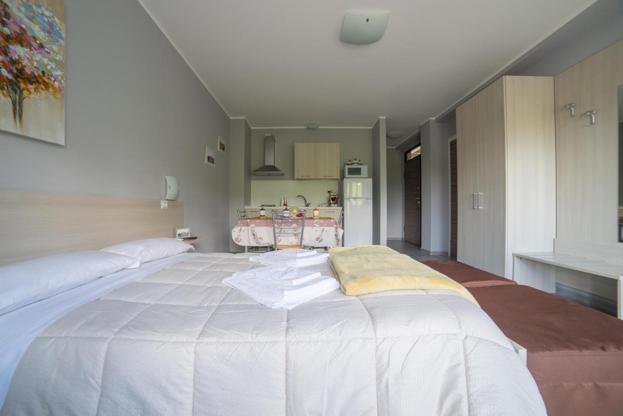 Large Double or Twin Room