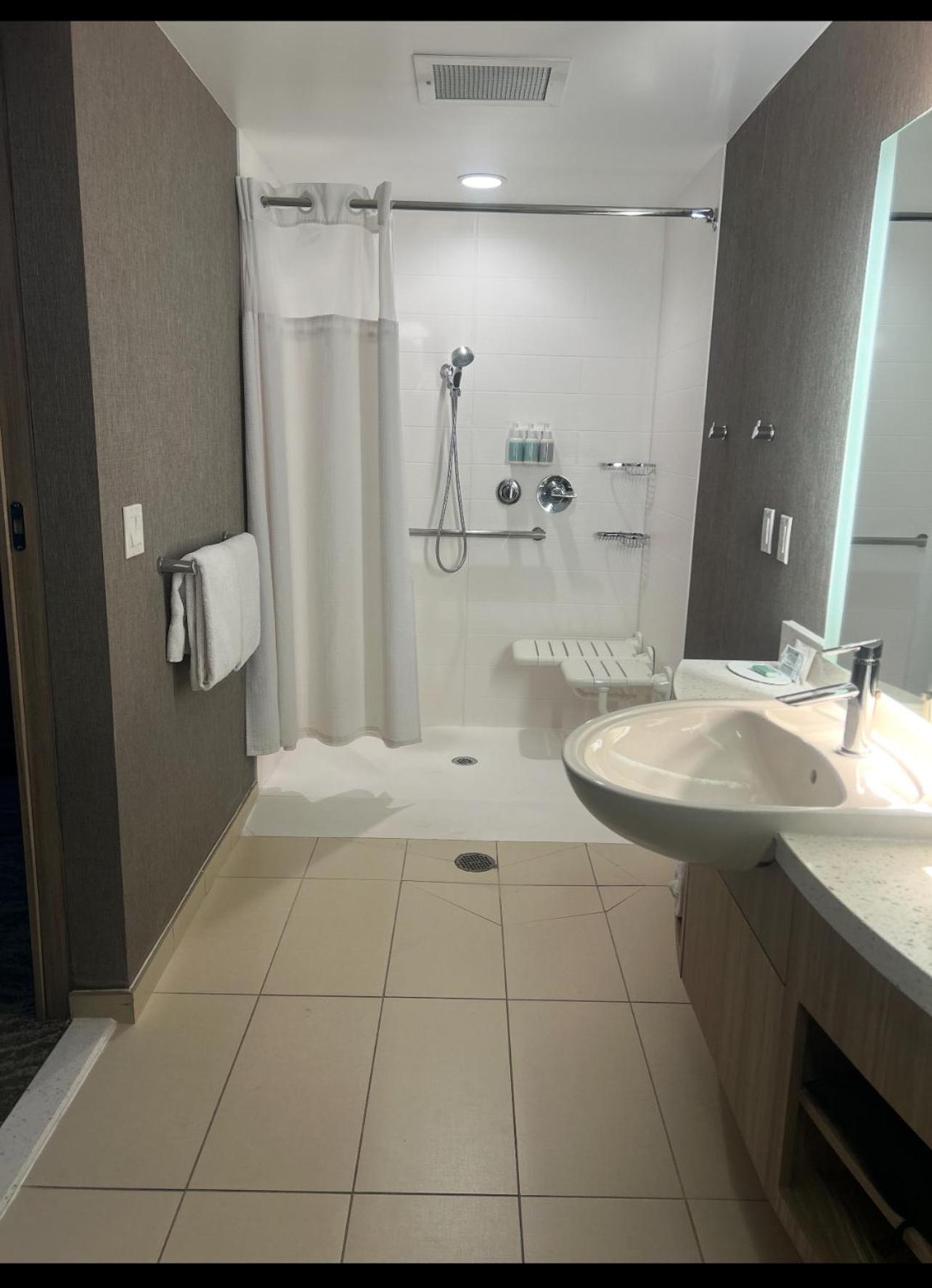 Suite, 1 King trundle, Sofa bed (Mobility Accessible w/Tub)