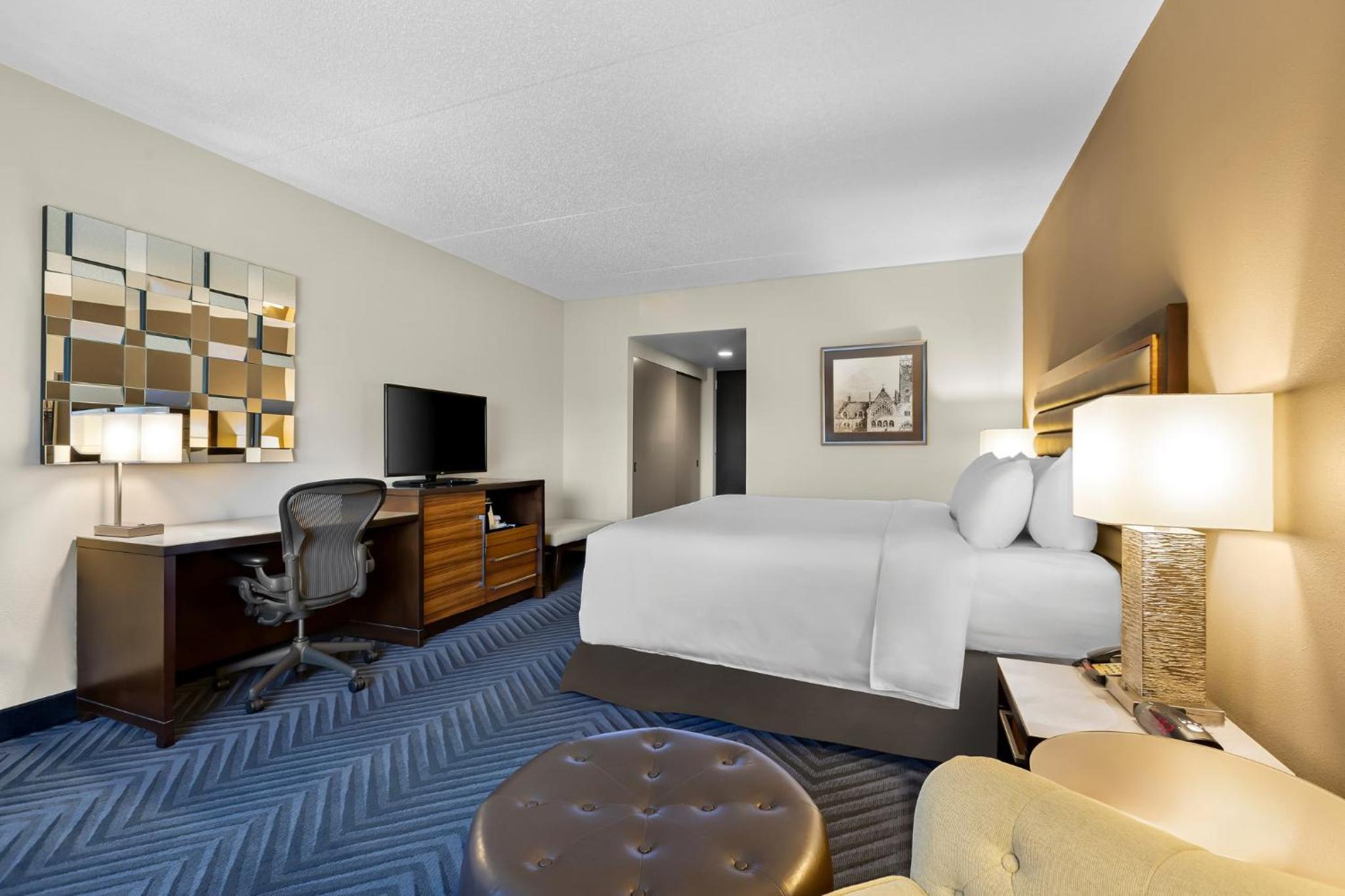 Junior King Suite - Photo 8
