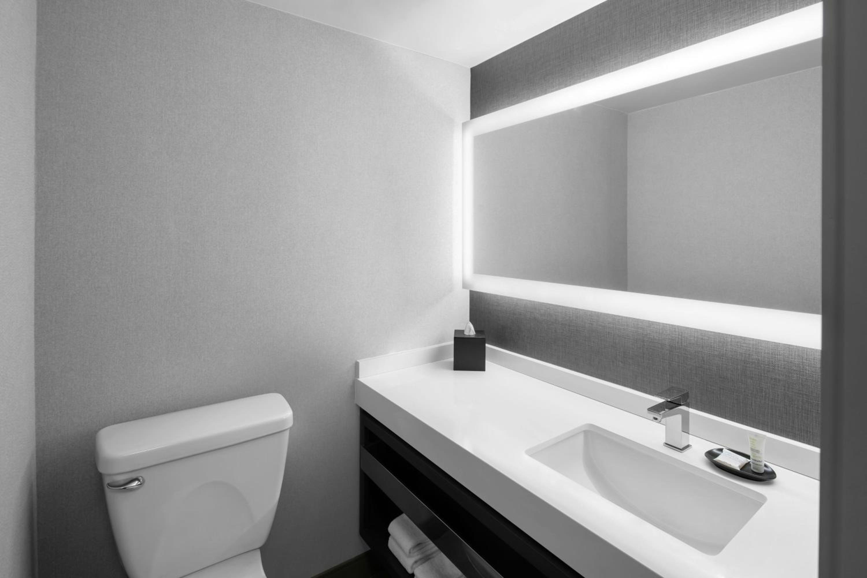 One-Bedroom King Suite with Sofa Bed  - Photo 5