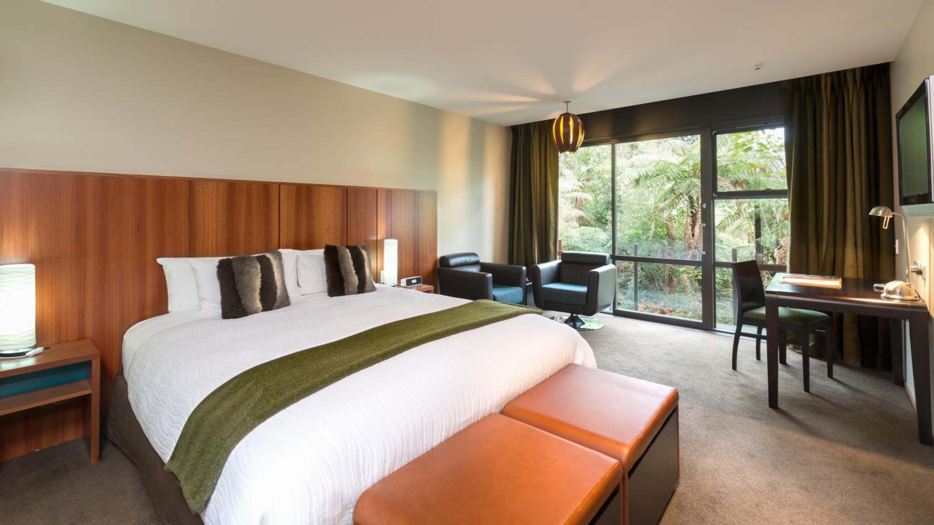 Deluxe King Room - Photo 1