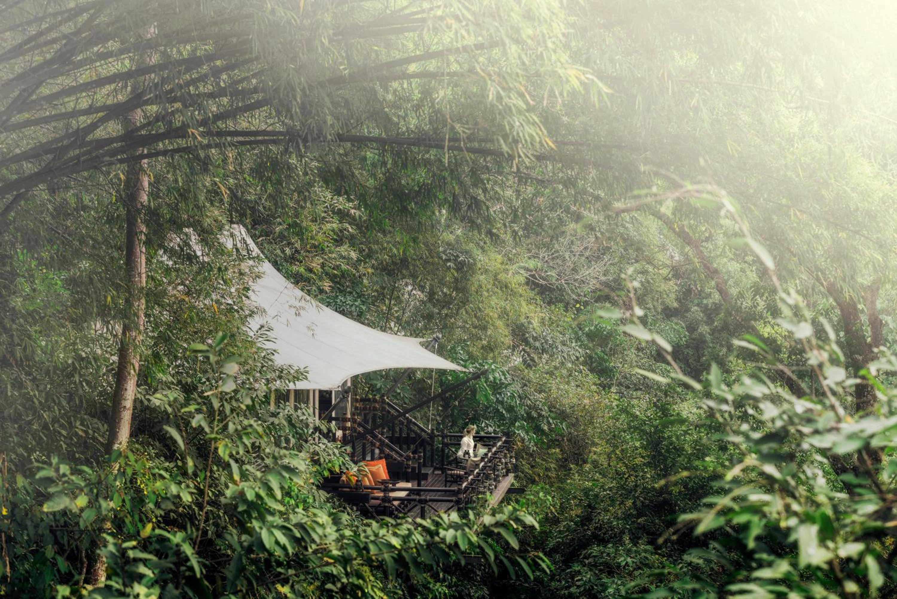 Bamboo Tent Two Twin photo 2