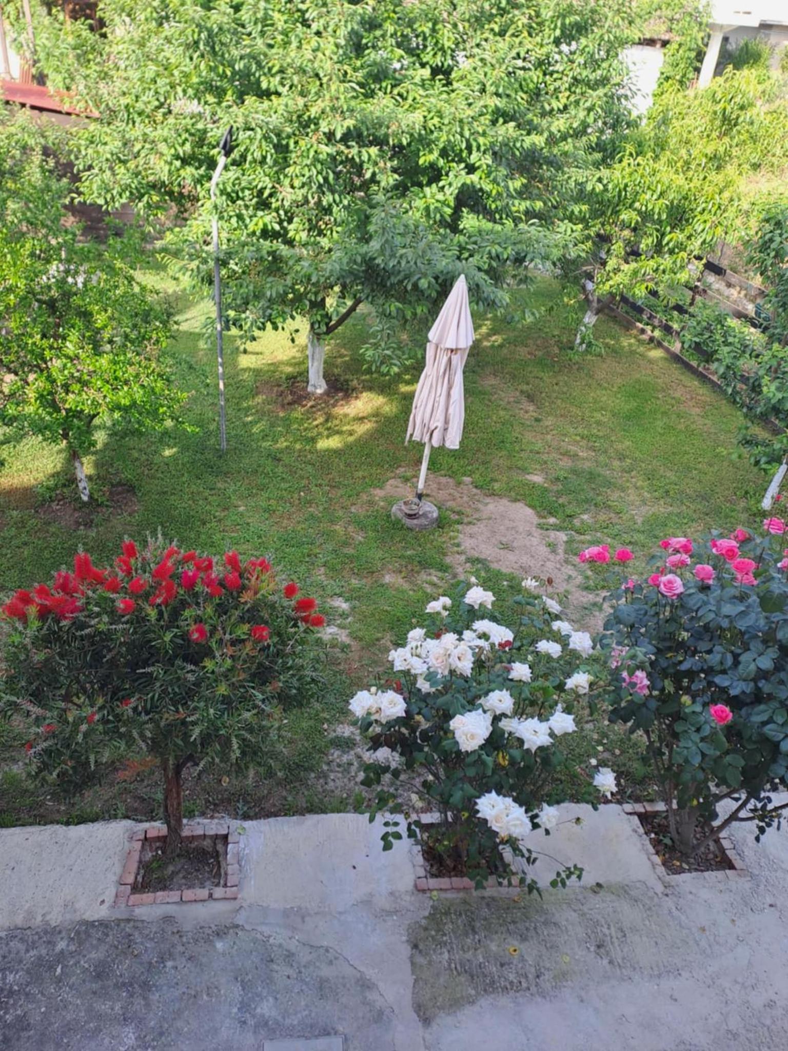 Deluxe Double Room with Balcony photo 1