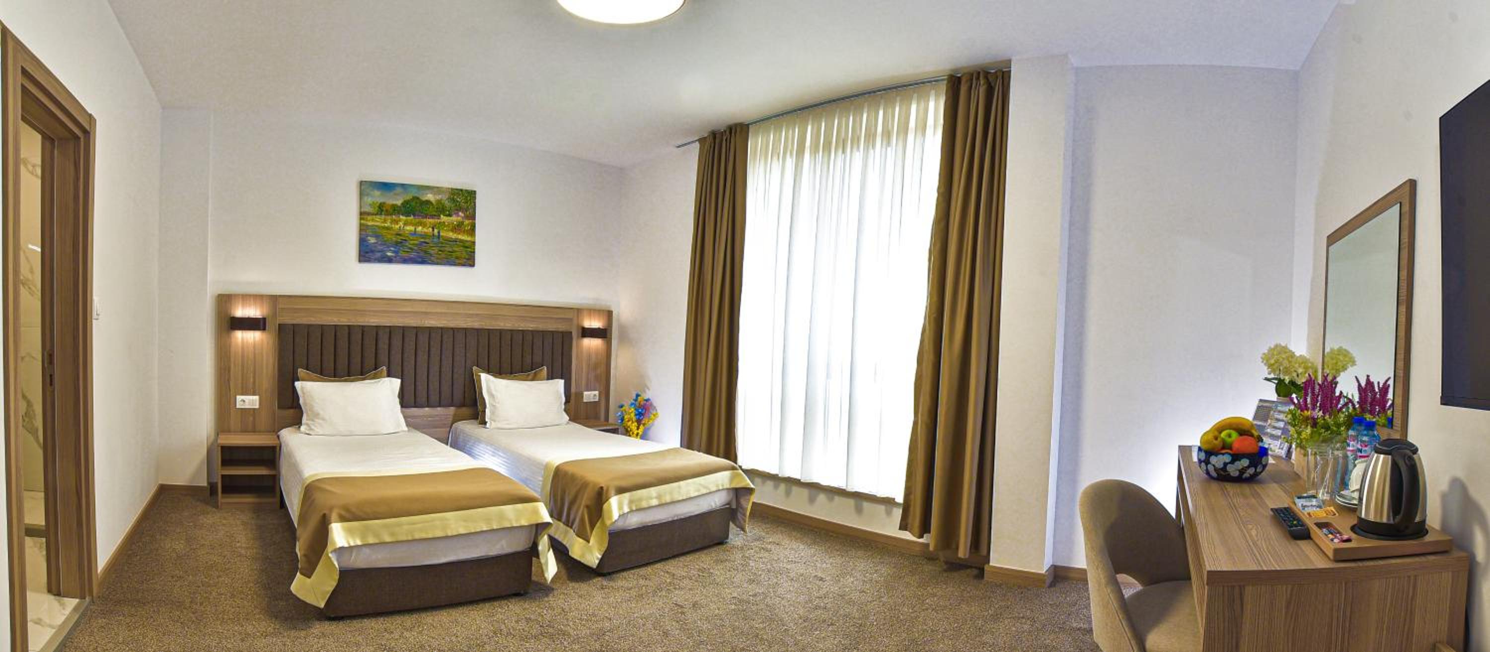 Deluxe Double or Twin Room photo 2