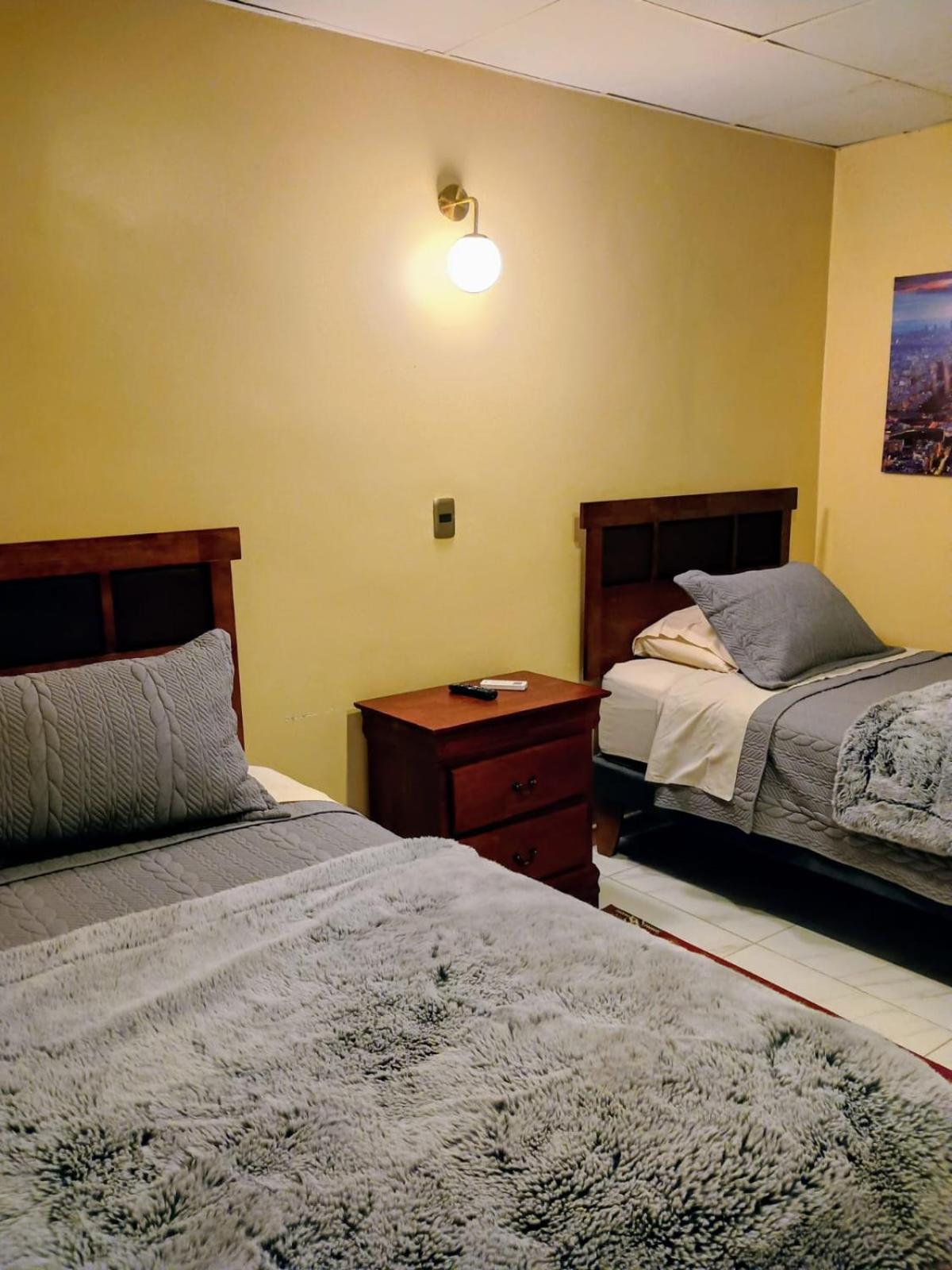 Twin Room photo 3