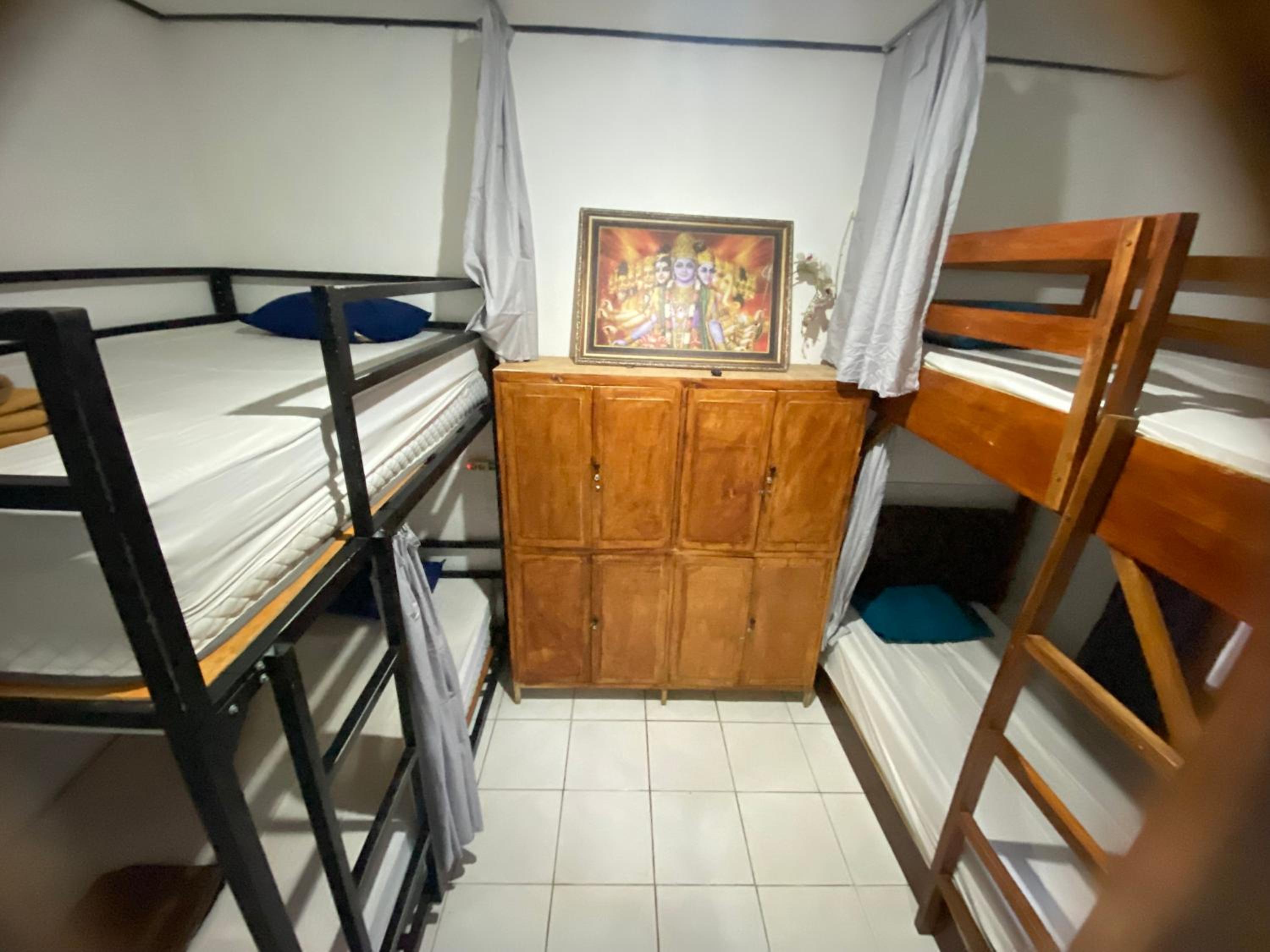 Bunk Bed in Mixed Dormitory Room