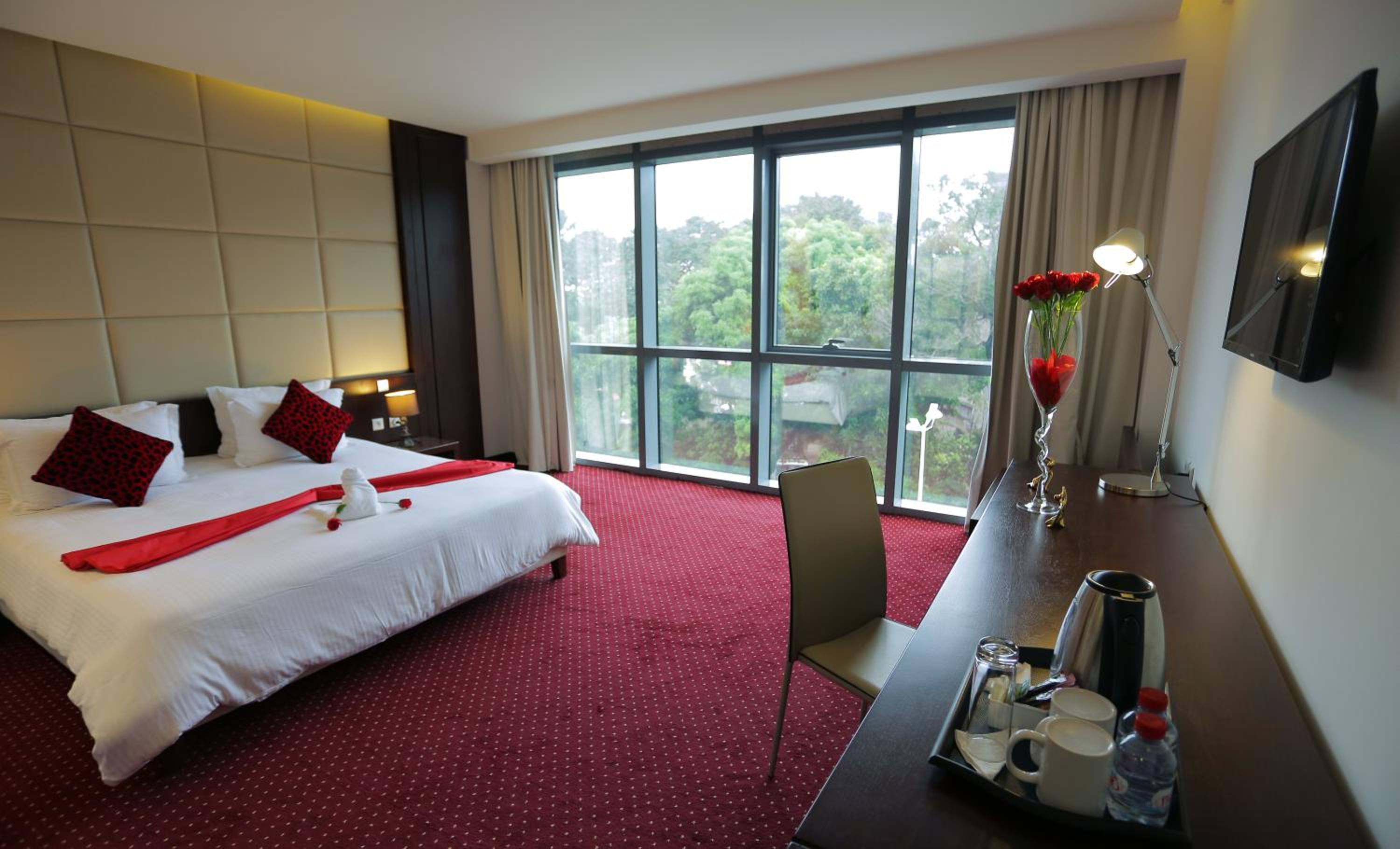 Superior Double Room photo 1