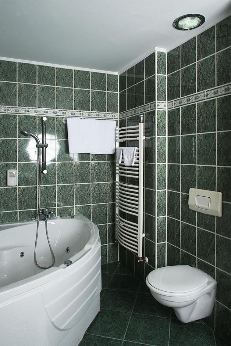 One-Bedroom Suite photo 3