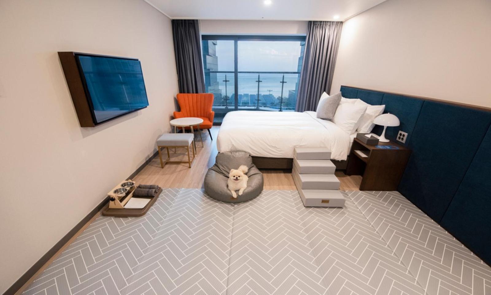 Dog Friendly Deluxe Double Room