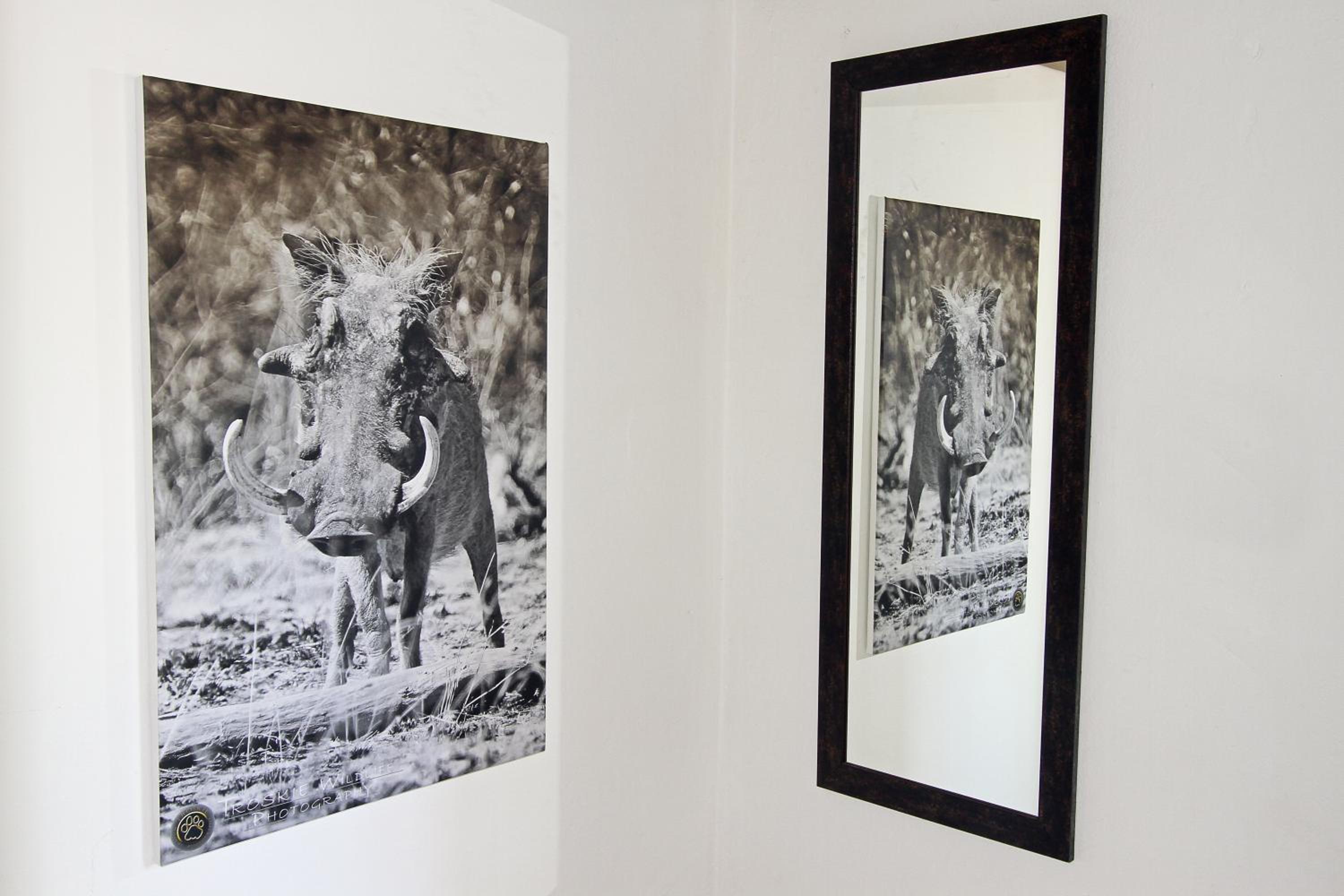 Twin Room - Warthog photo 3