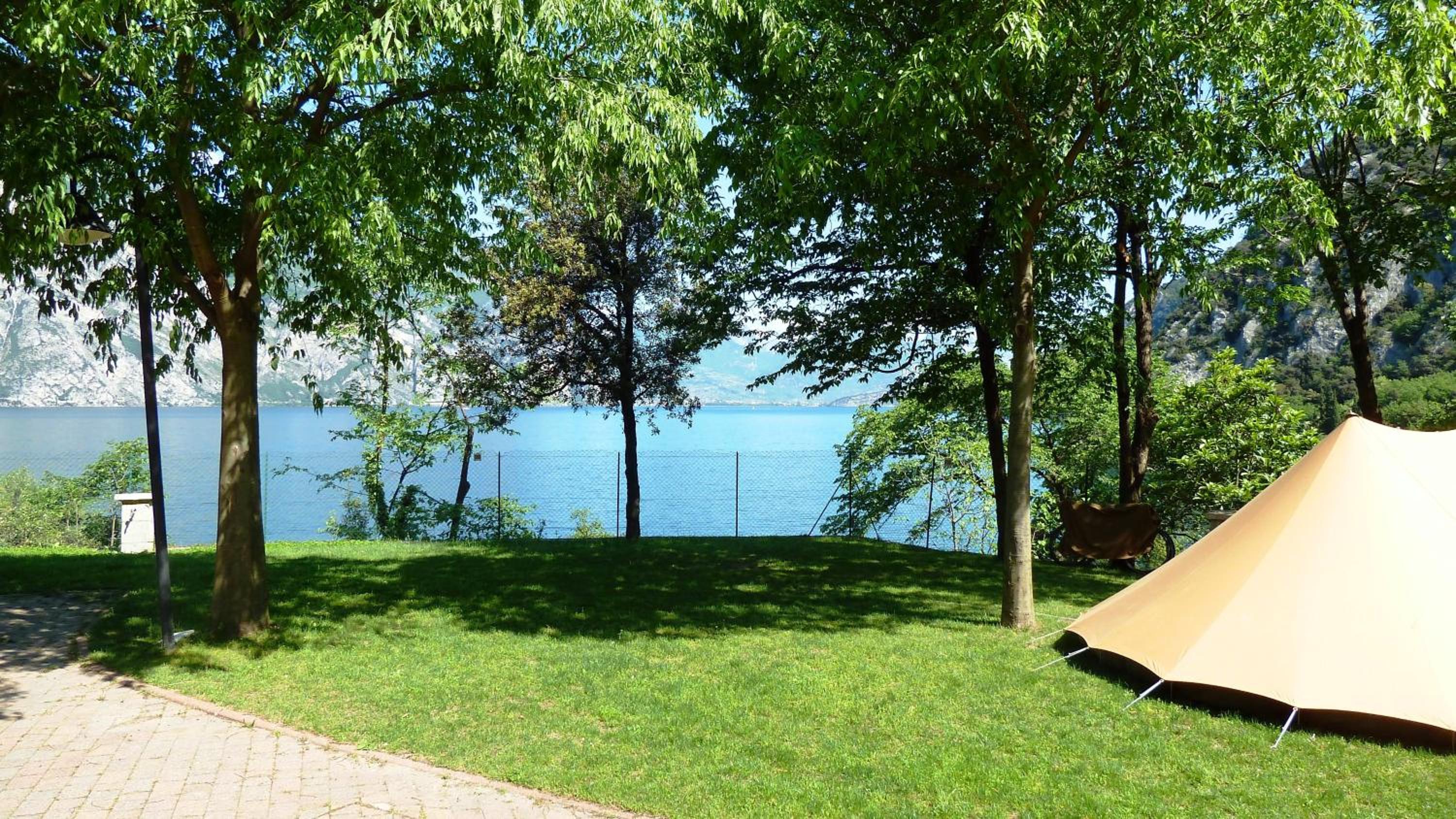 Medium Empty Lot (Bring your own tent or van) - Photo 3
