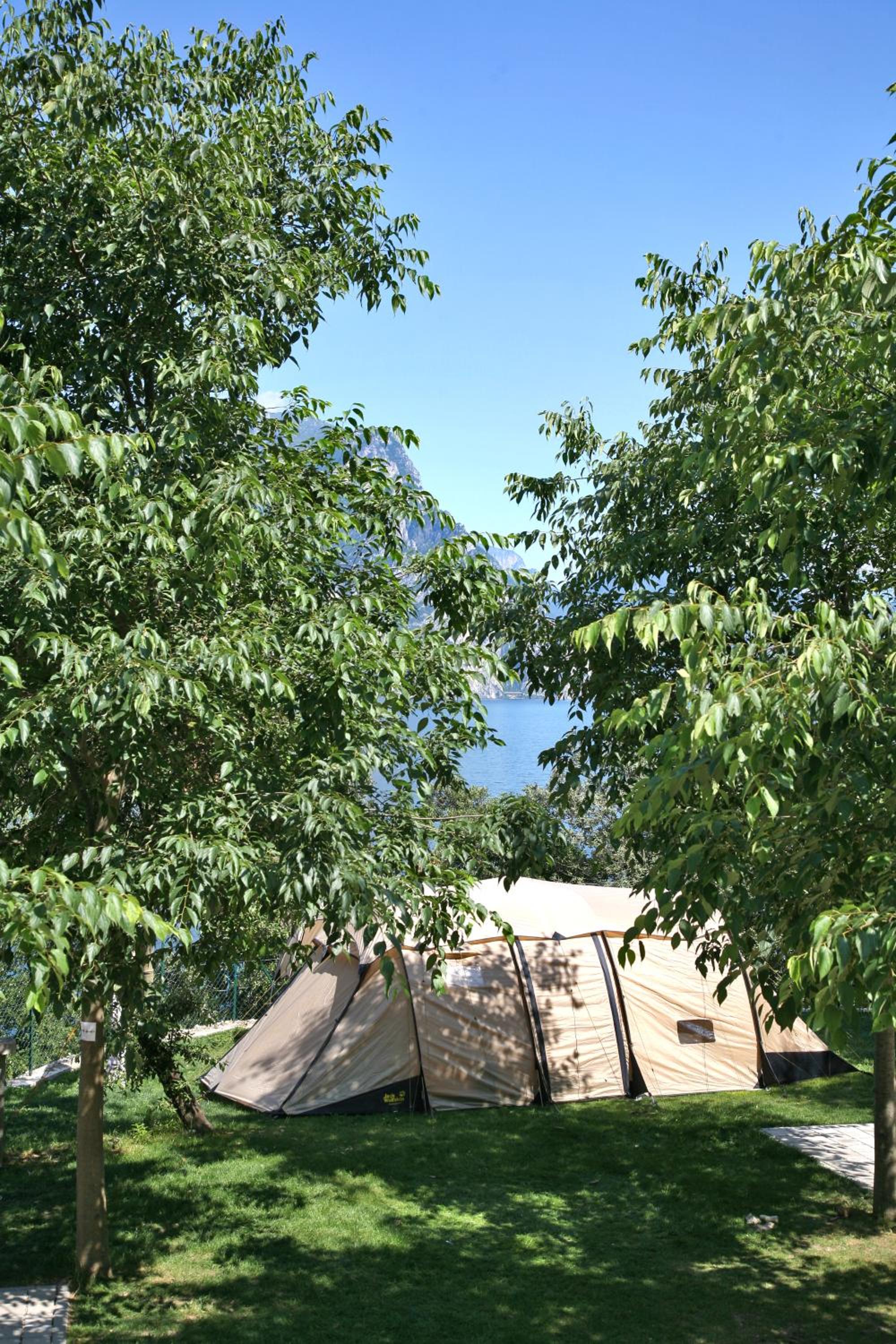 Medium Empty Lot (Bring your own tent or van) - Photo 8