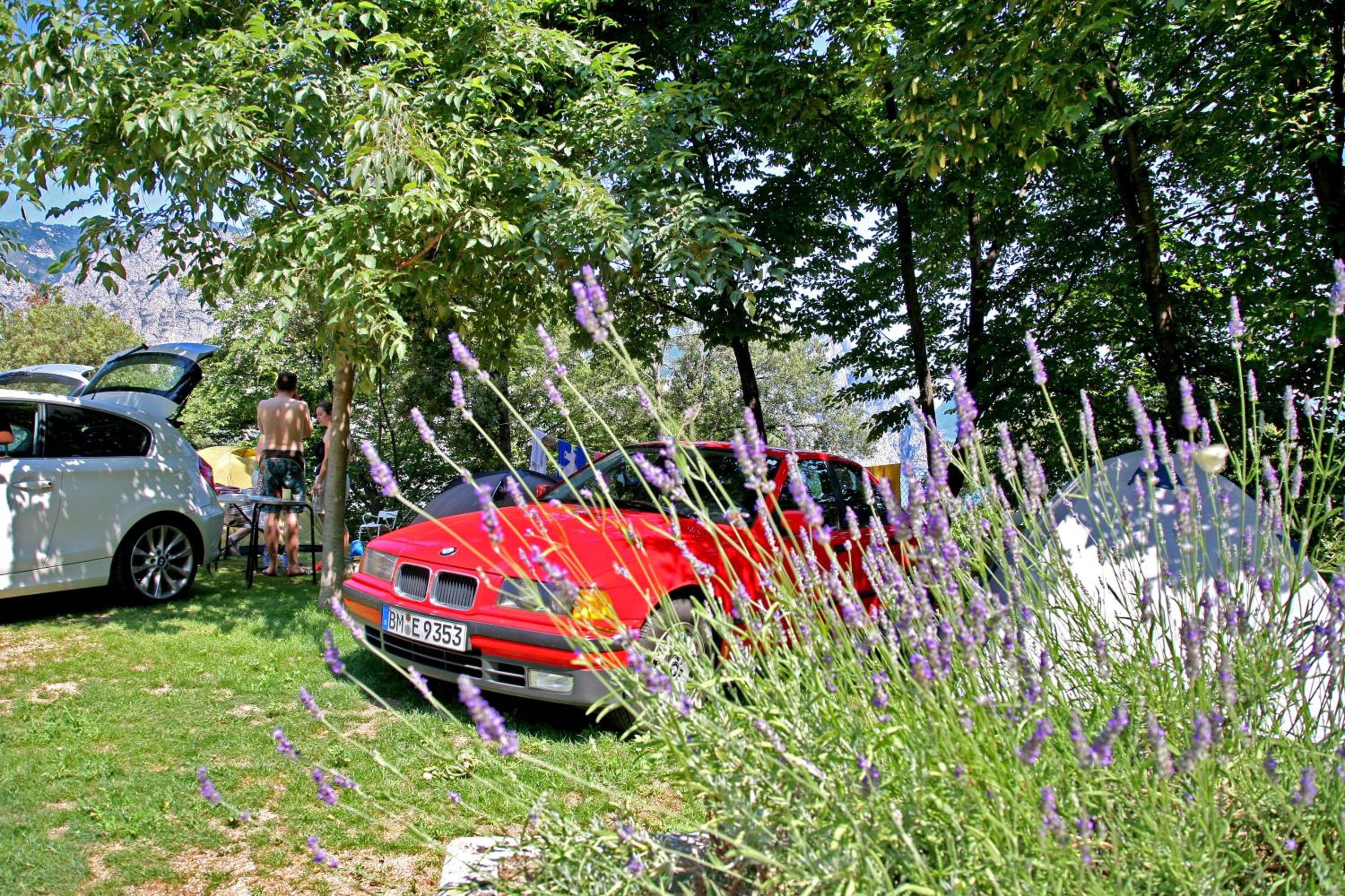 Medium Empty Lot (Bring your own tent or van) - Photo 2