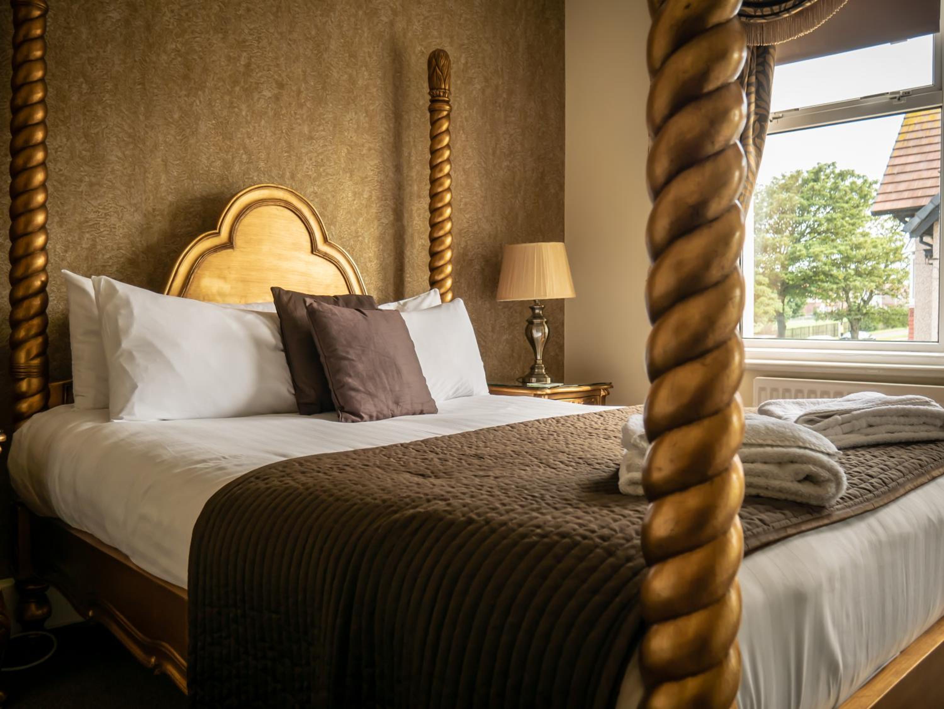 Superior Queen Room photo 3