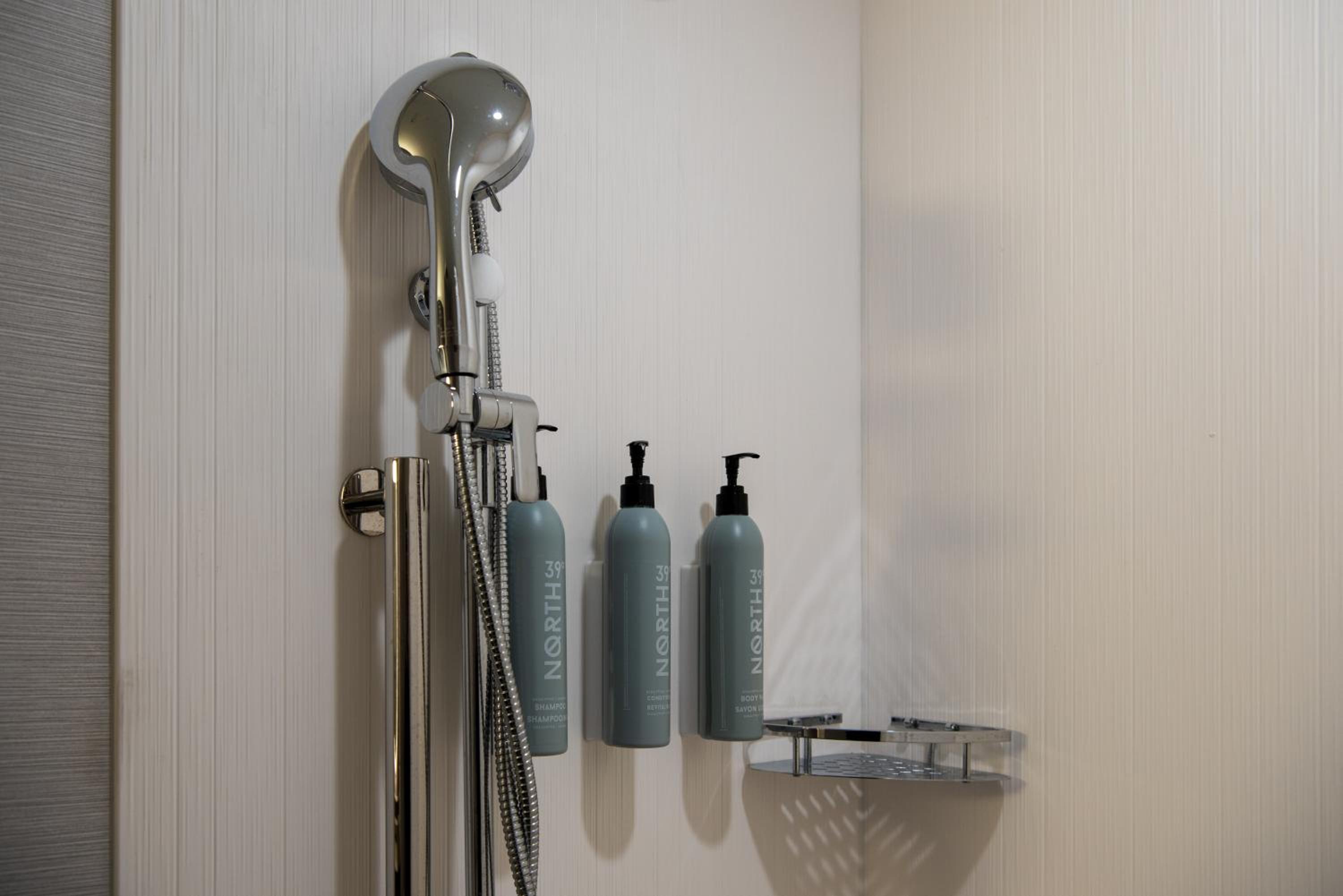 King Room with Sofa Bed and Roll-in Shower - Mobility and Hearing Accessible - Photo 5