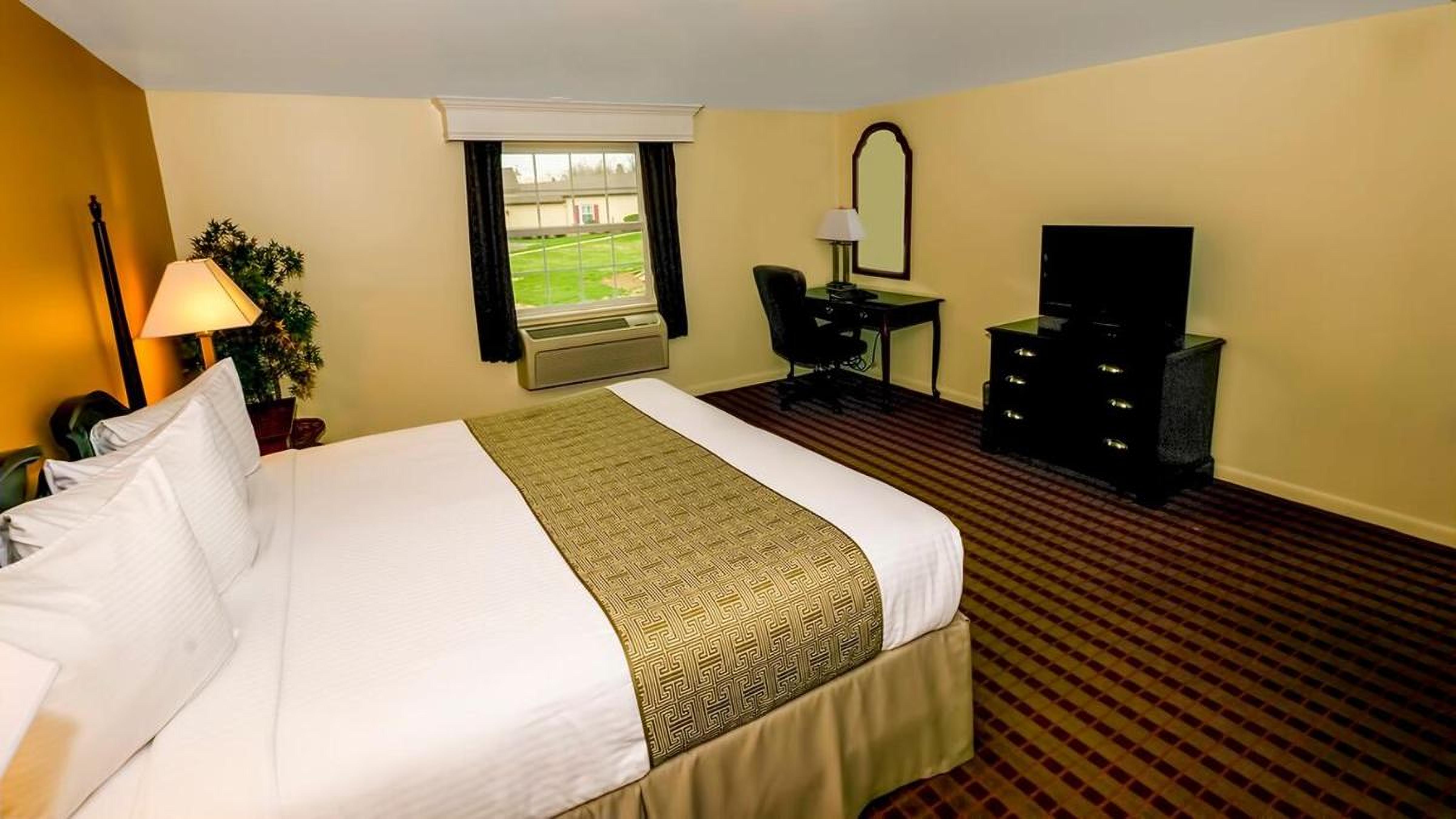 King Room photo 3