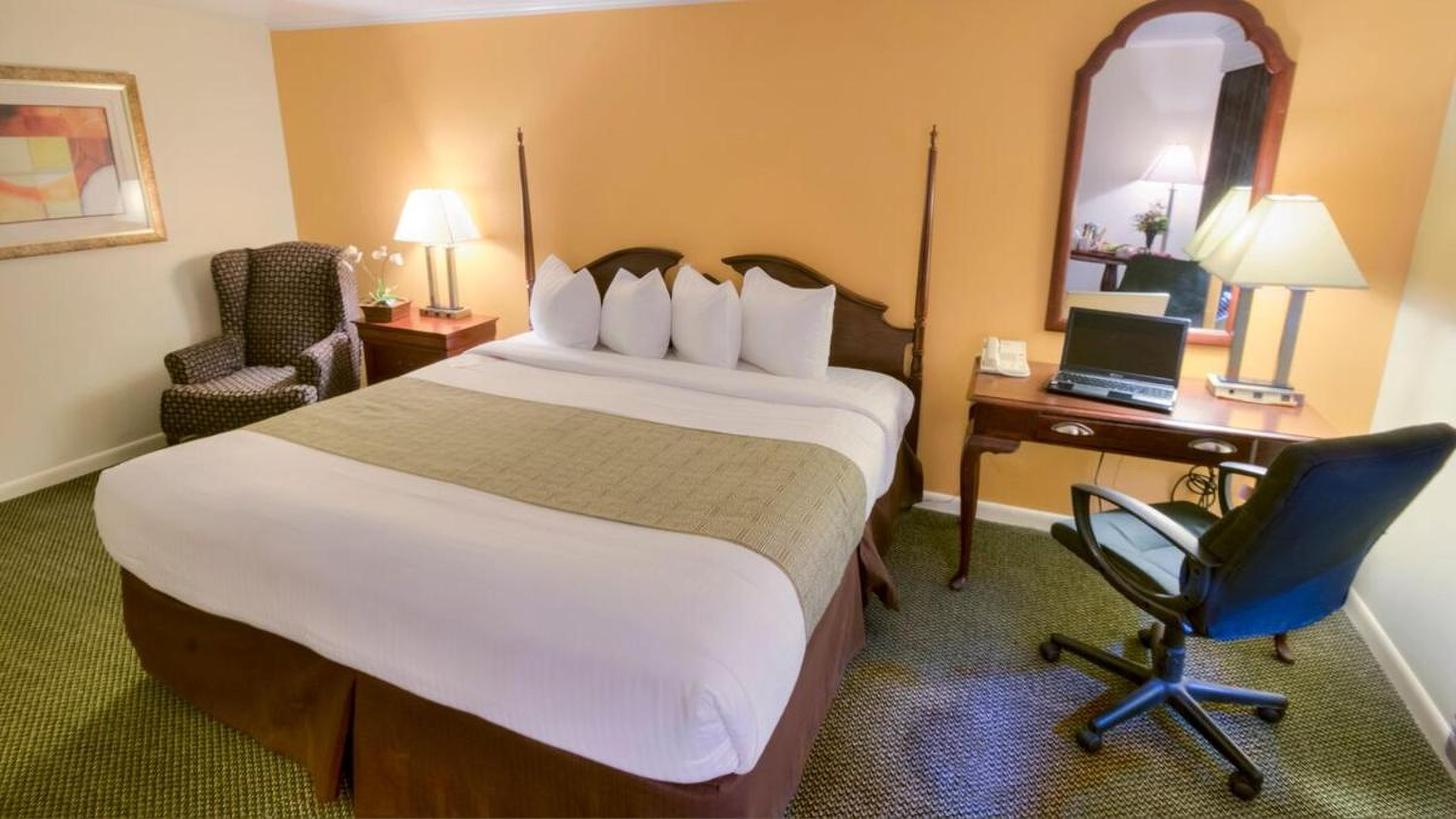 King Room photo 1