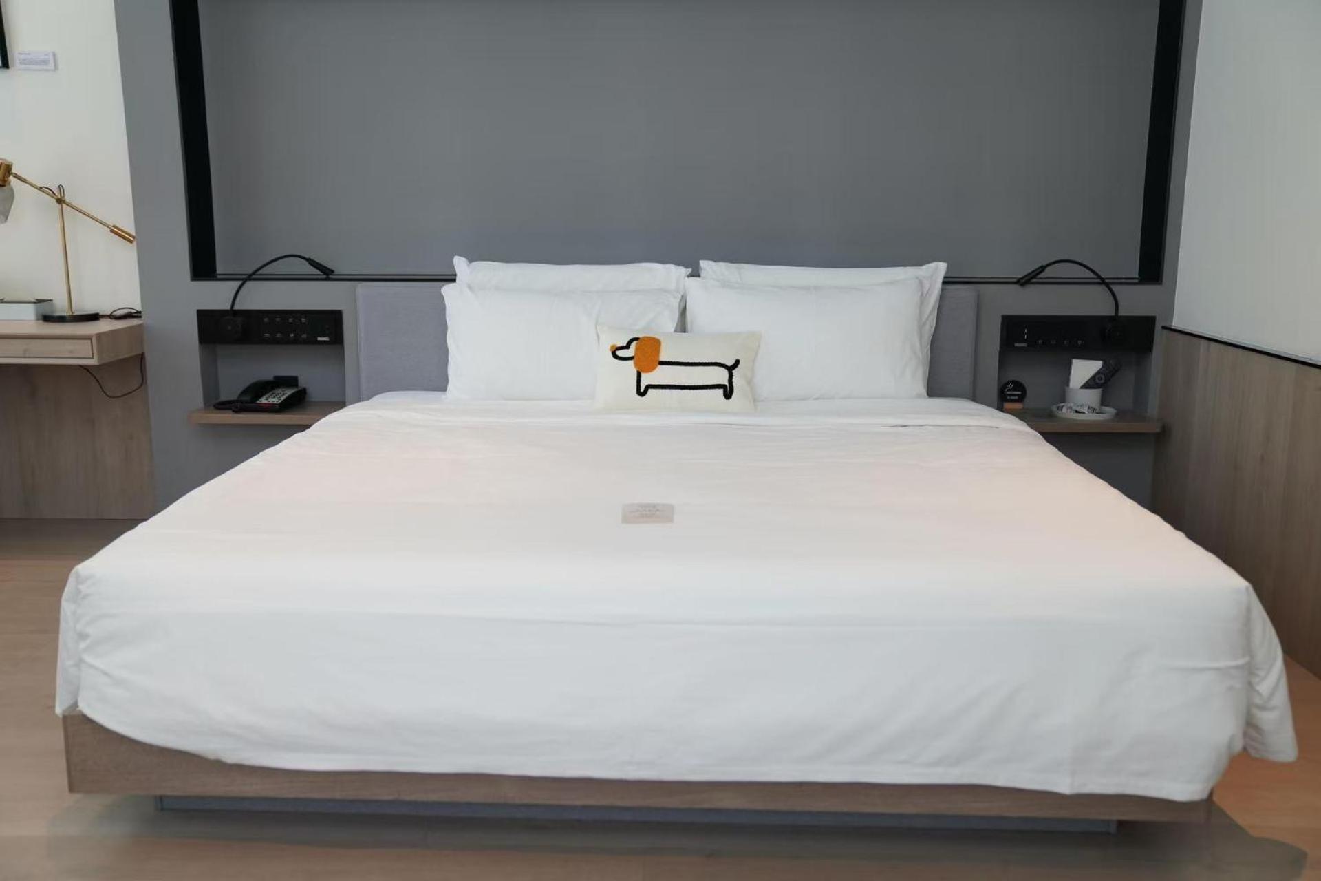 Pet Friendly Theme Suites - Exclusive for Dogs